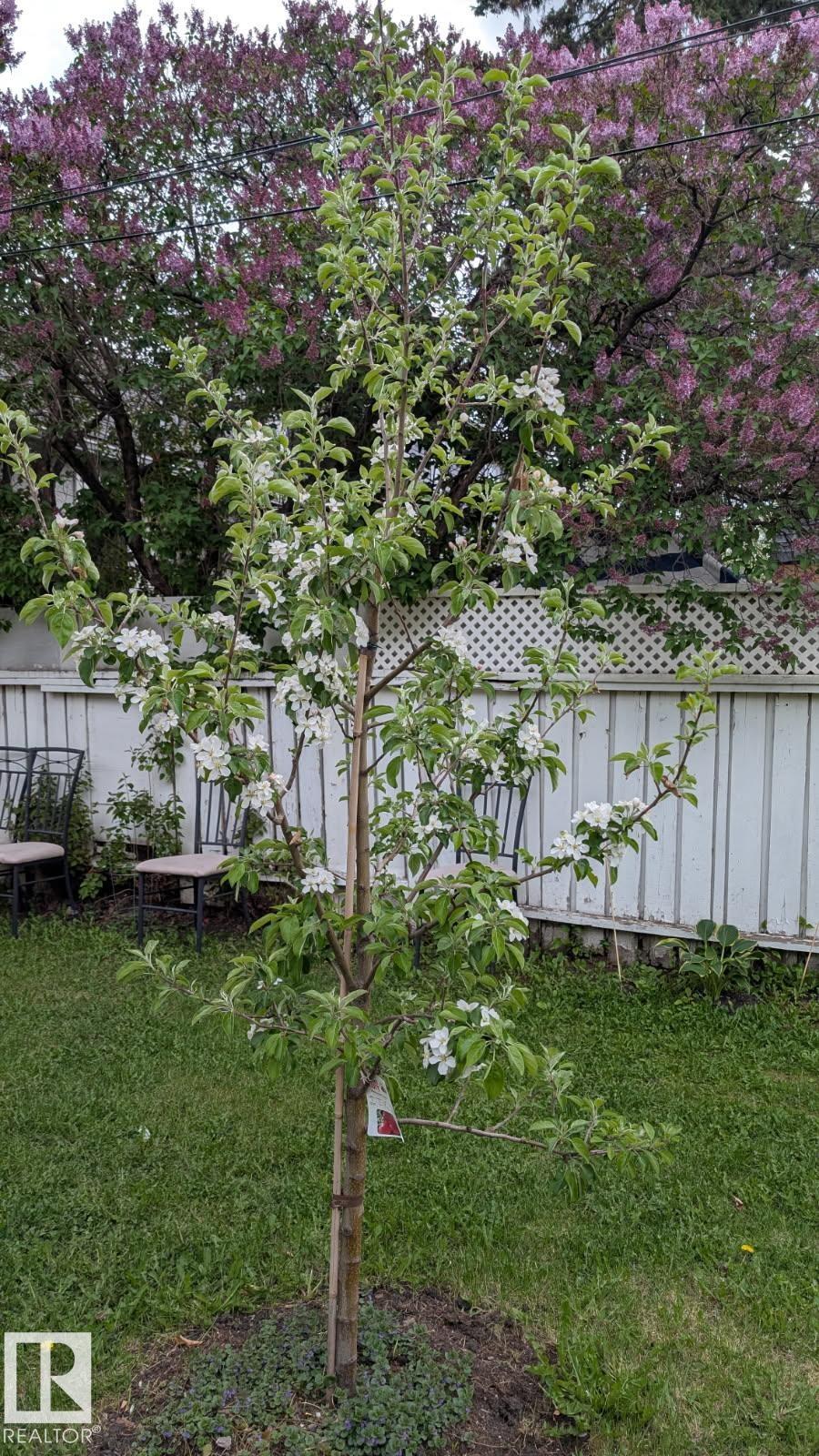 11724 88 Street NW, Parkdale, Edmonton