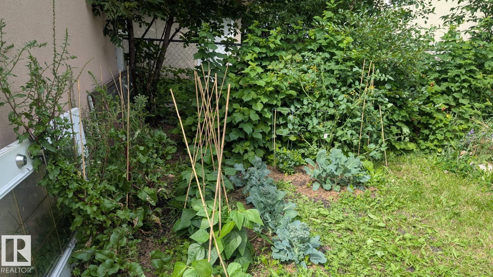 Photo 6 at 11724 88 Street NW, Parkdale, Edmonton