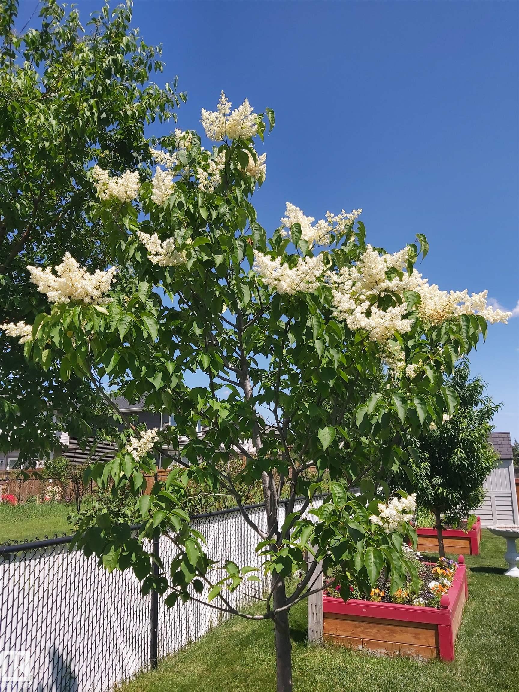 Photo 22 at 16520 136 Street NW, Carlton, Edmonton