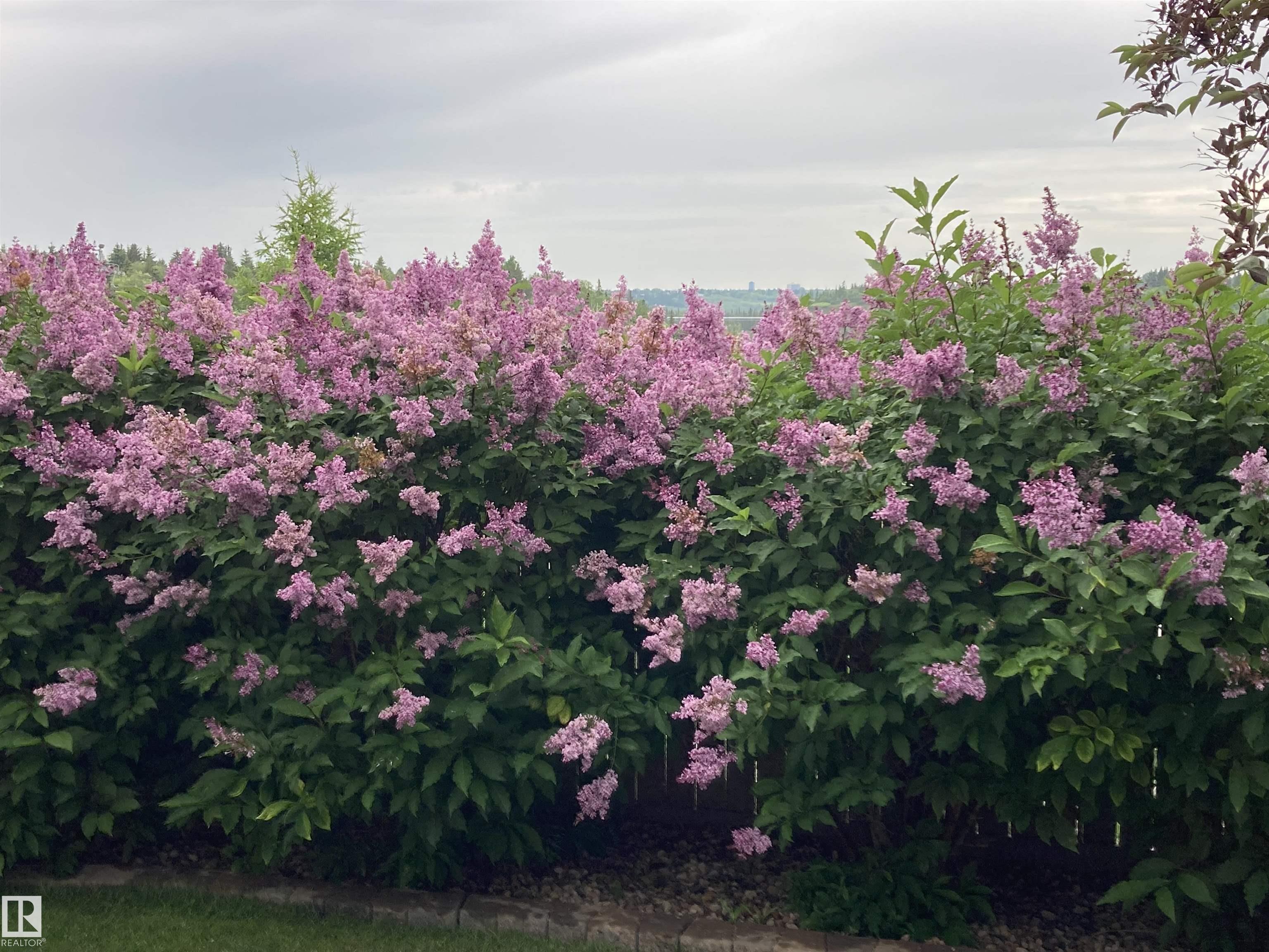 Photo 71 at 12 - 577 Butterworth Way NW, Bulyea Heights, Edmonton