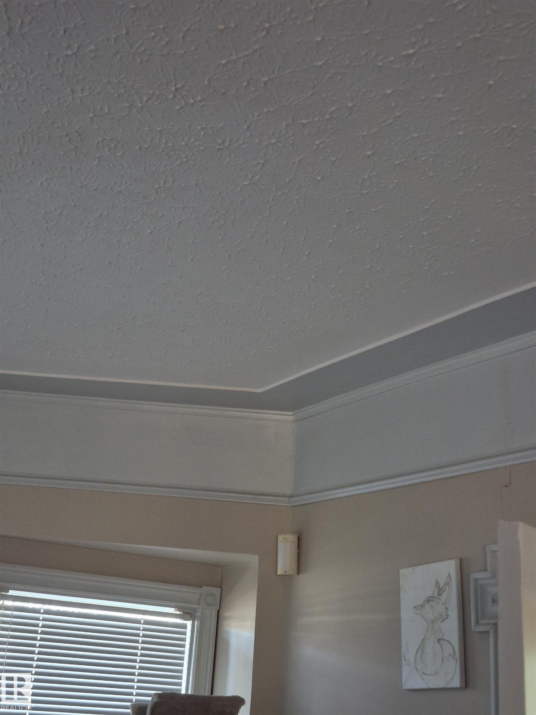 Photo 15 at 11301 87 Street NW, Parkdale, Edmonton