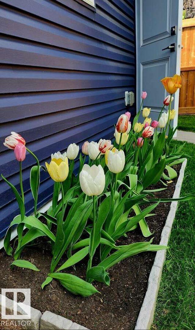https://zimg.paragon.ice.com/ParagonImages/Property/PM/RAE/225398199/33/0/0/cf6135c7dfb4deb8037c079ecc4d6546/1/0582ea0428ab7da0ebc6f0ee8f84f20e/225398199-895c733d-bc7c-430b-abd8-e1213b392c3d.JPG