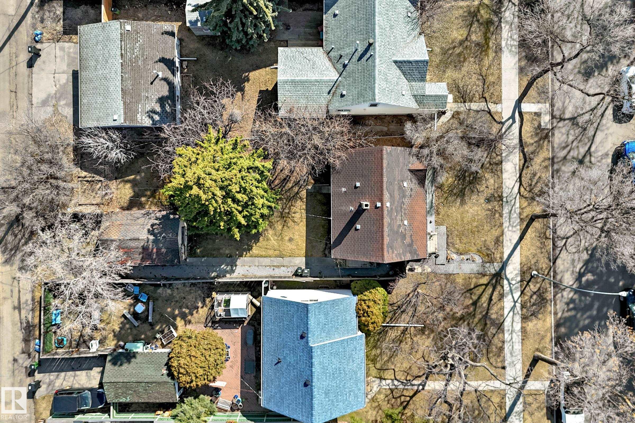 10954 62 Avenue NW, Parkallen, Edmonton photo 5