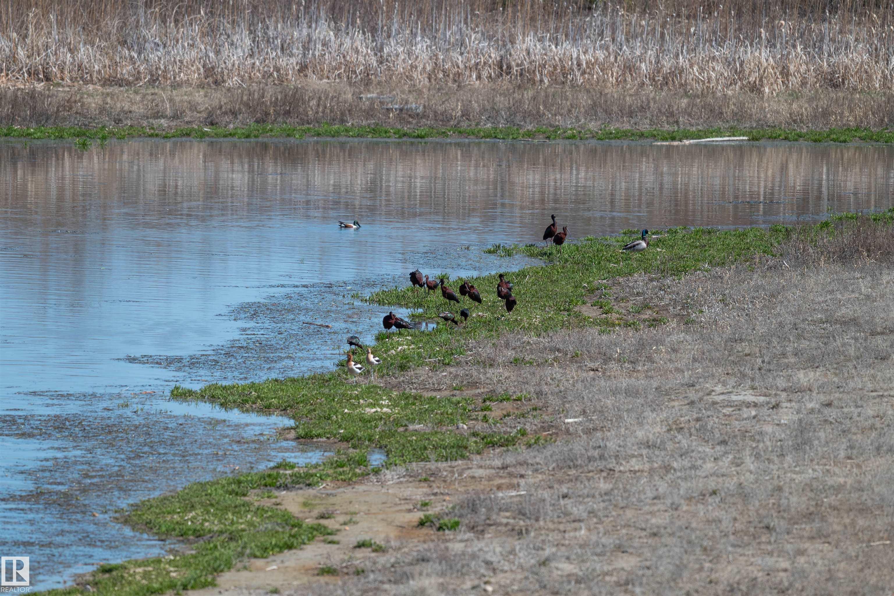 Photo 54 at 197 - 51268 Range Road 204, Hastings Lake, Rural Strathcona County