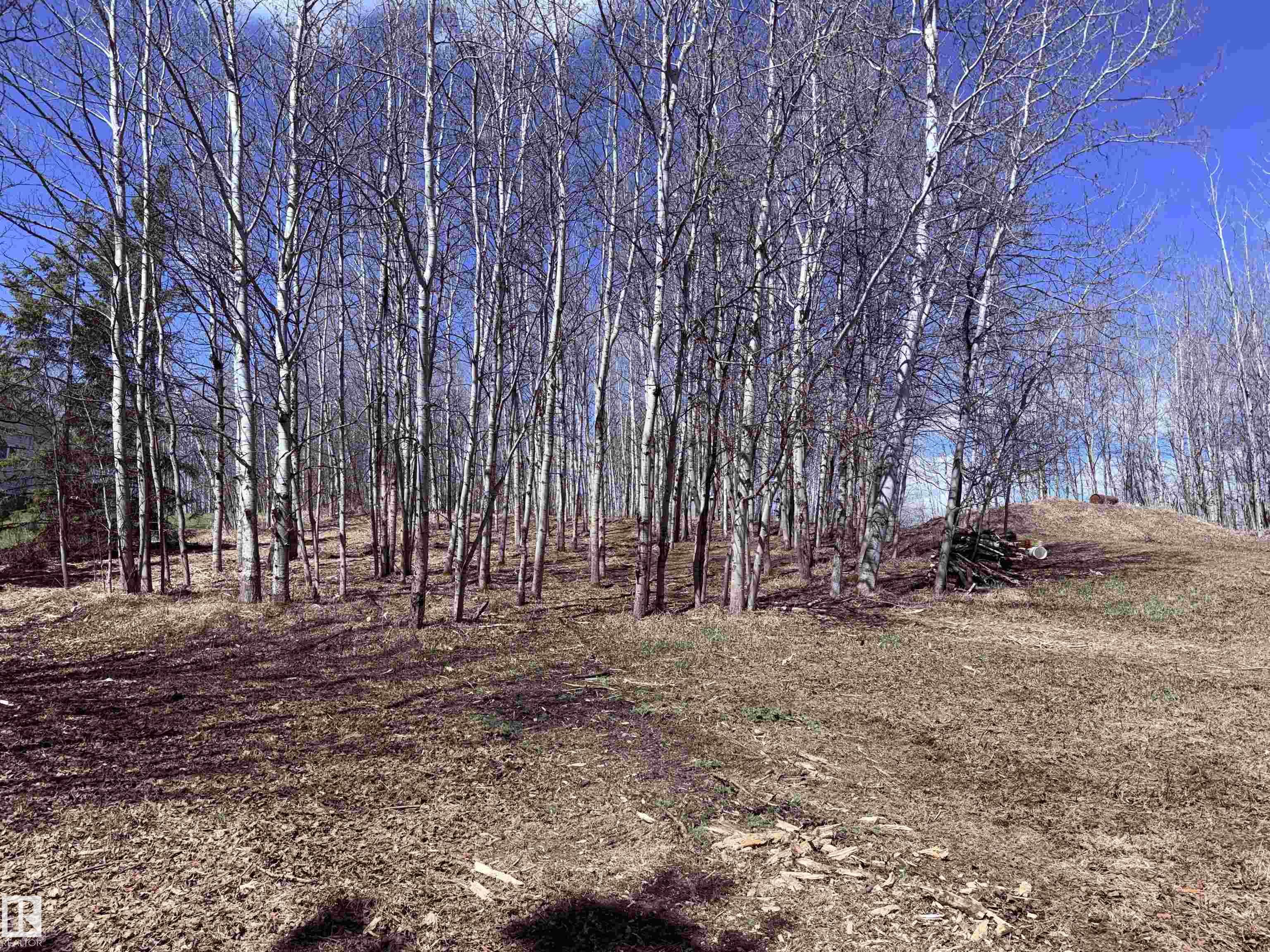 14 - 53319 Rge Road 14, Glory Lake Park, Rural Parkland County
