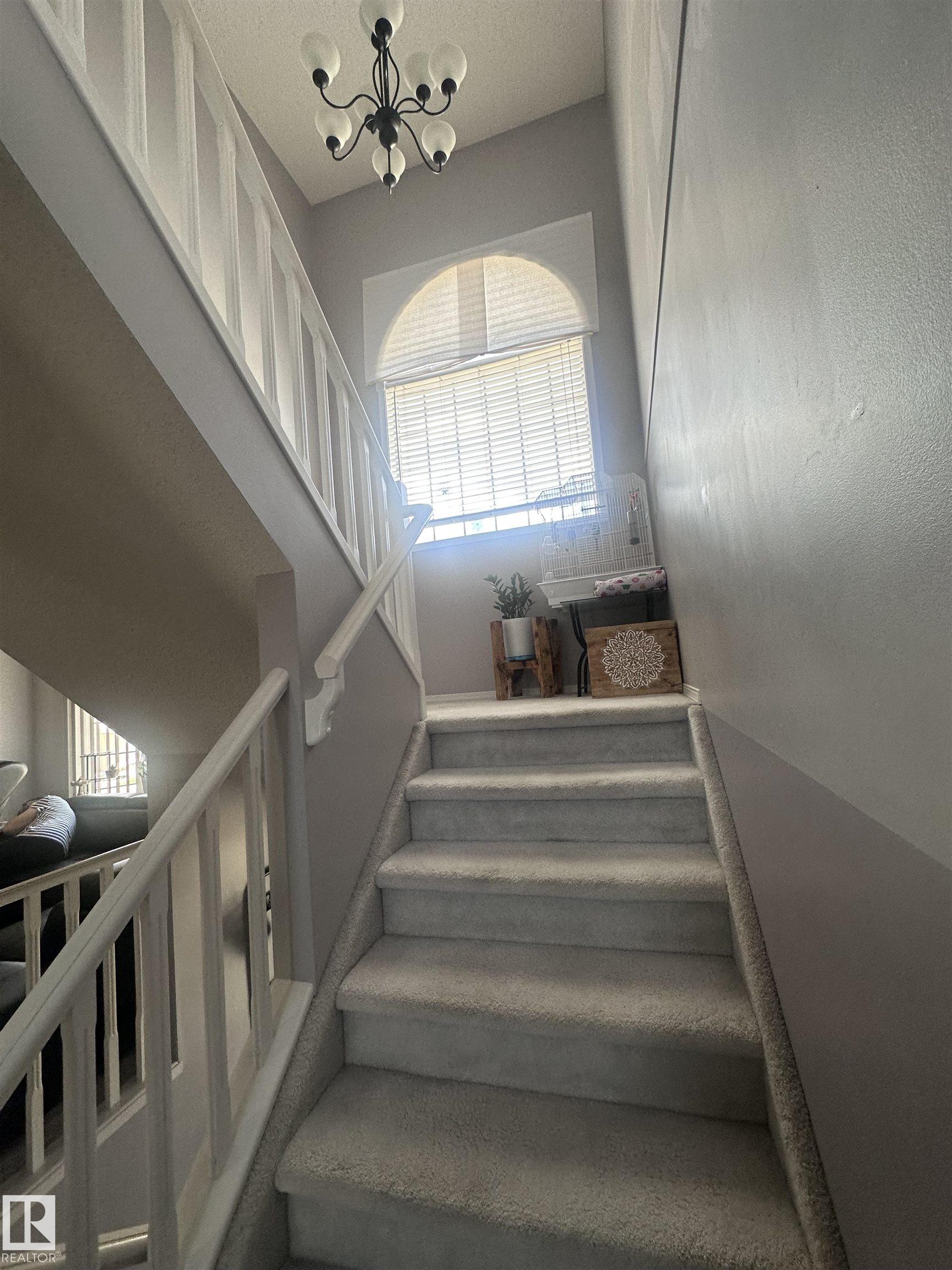 Photo 43 at 1636 Jamha Road NW, Jackson Heights, Edmonton