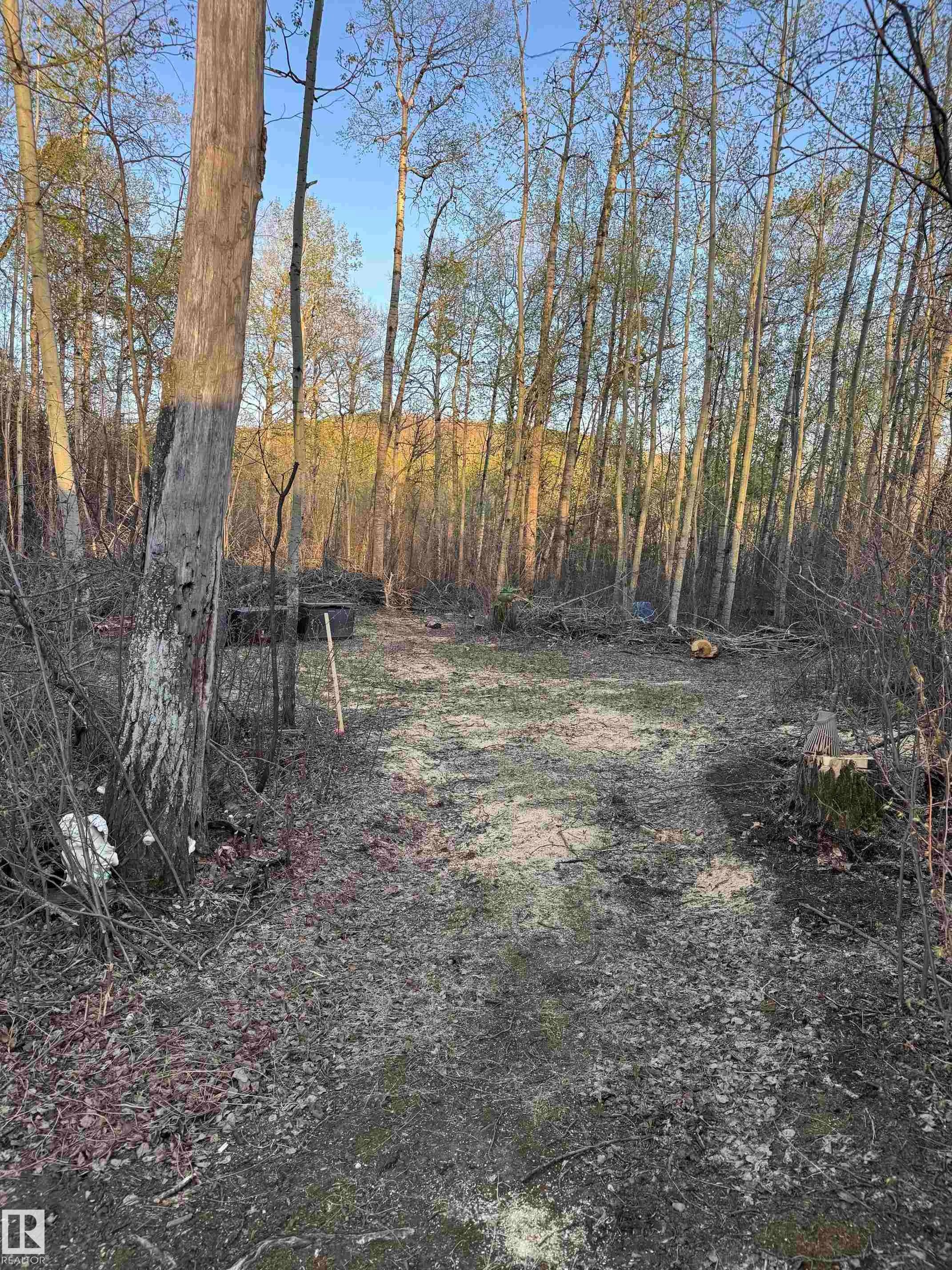 Photo 7 at 30 - 1307 Twp Road 540, Chickakoo Estates, Rural Parkland County
