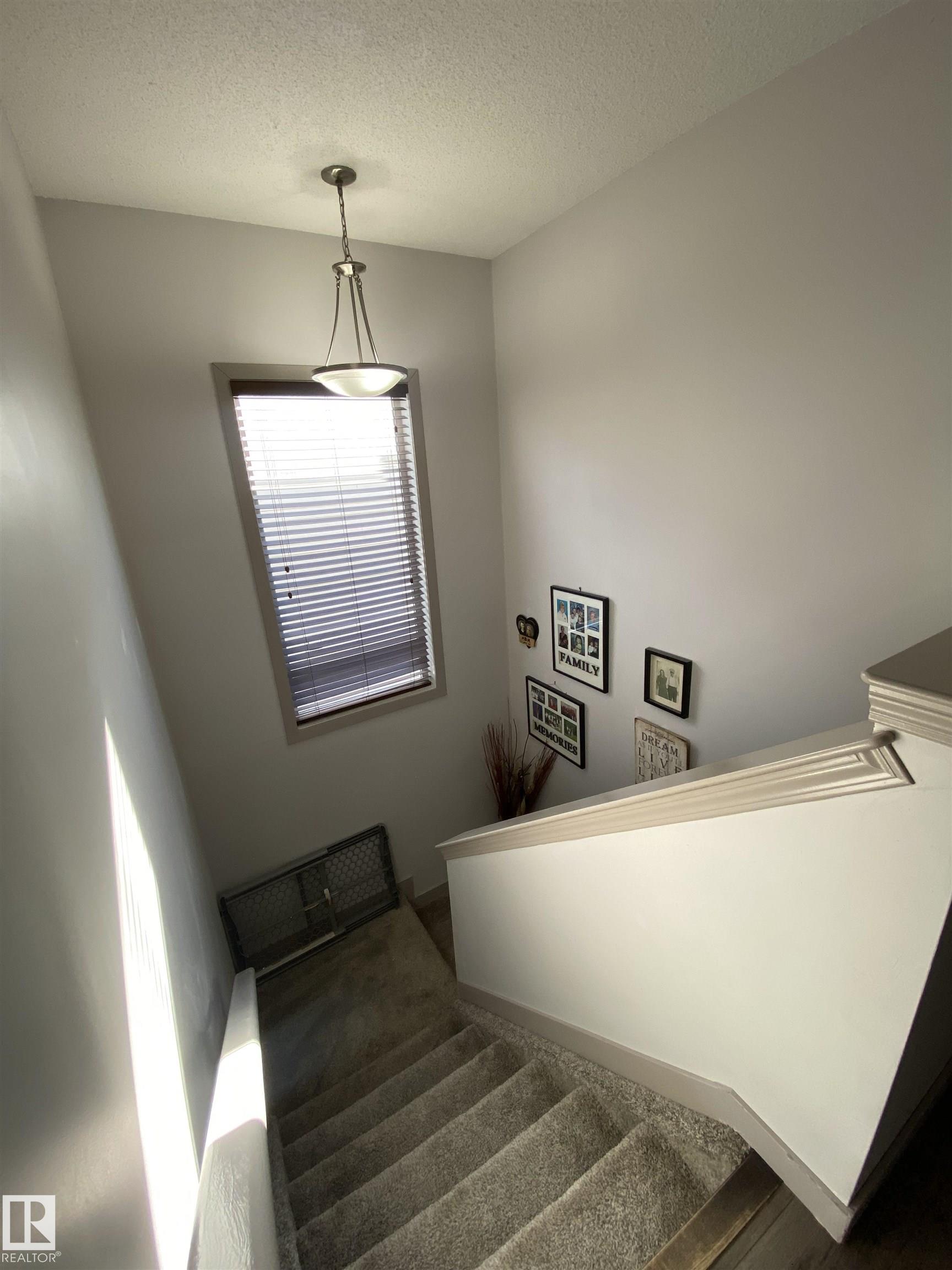 Photo 26 at 1151 37 Avenue NW, Tamarack, Edmonton