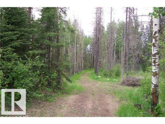 Photo 6 at 33 57108 Range Road 220, Juniper Hills, Rural Sturgeon County