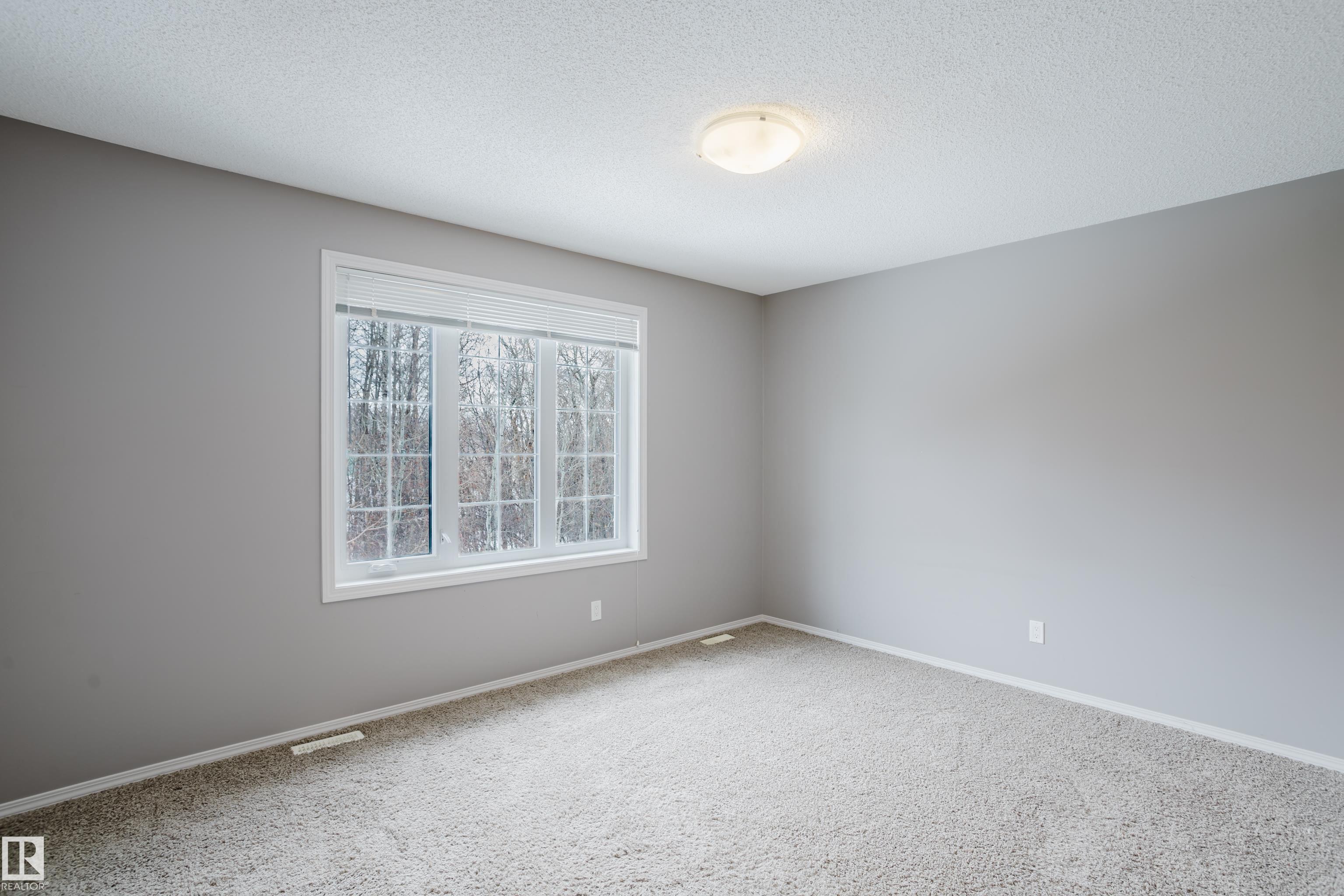 Photo 27 at 14009 164 Avenue NW, Carlton, Edmonton