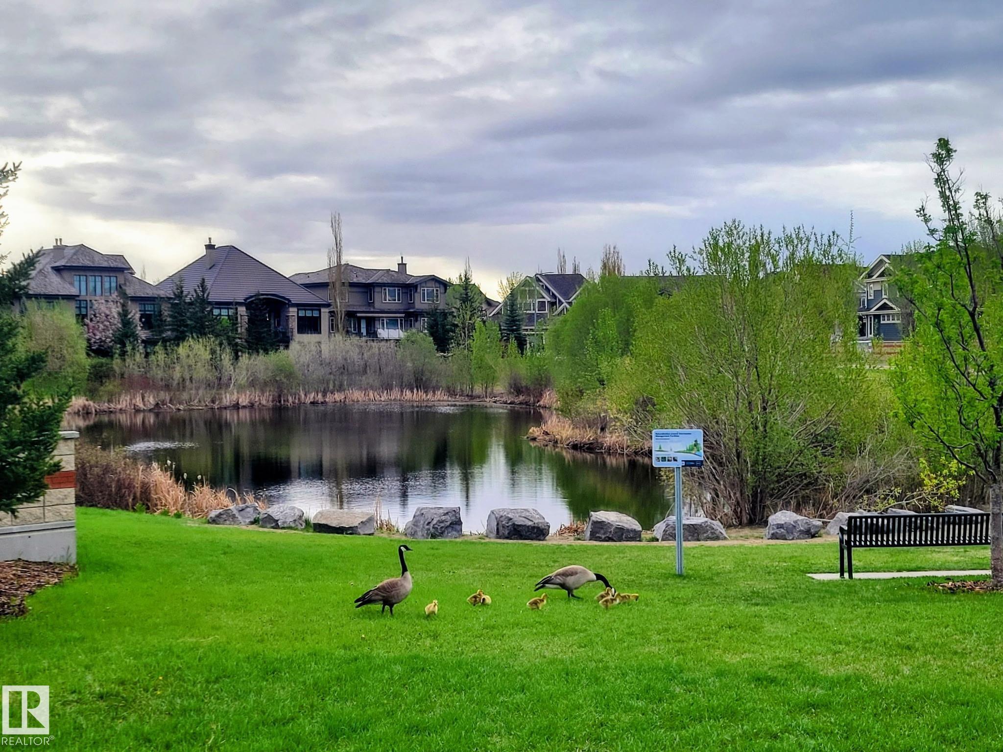 Photo 53 at 2237 Cameron Ravine Court NW, Cameron Heights, Edmonton