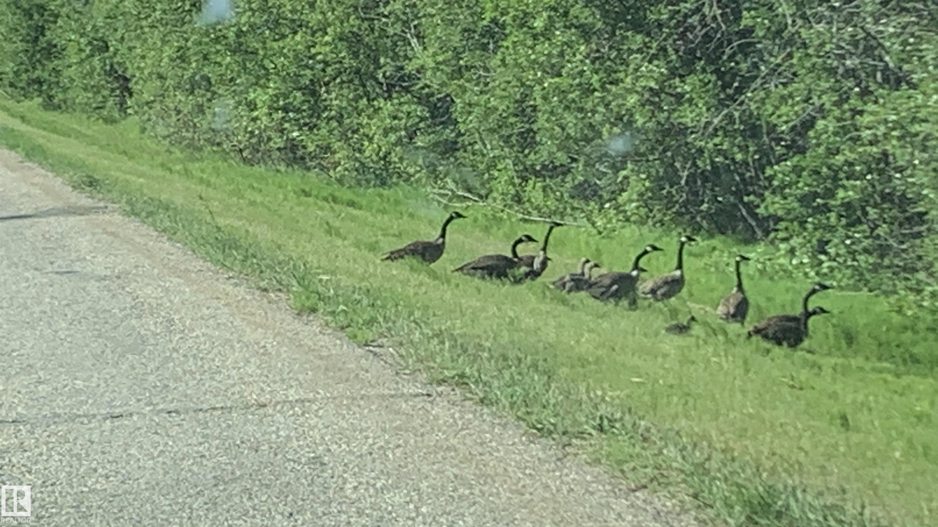 2417A Twp. Rd. 530, None, Rural Parkland County