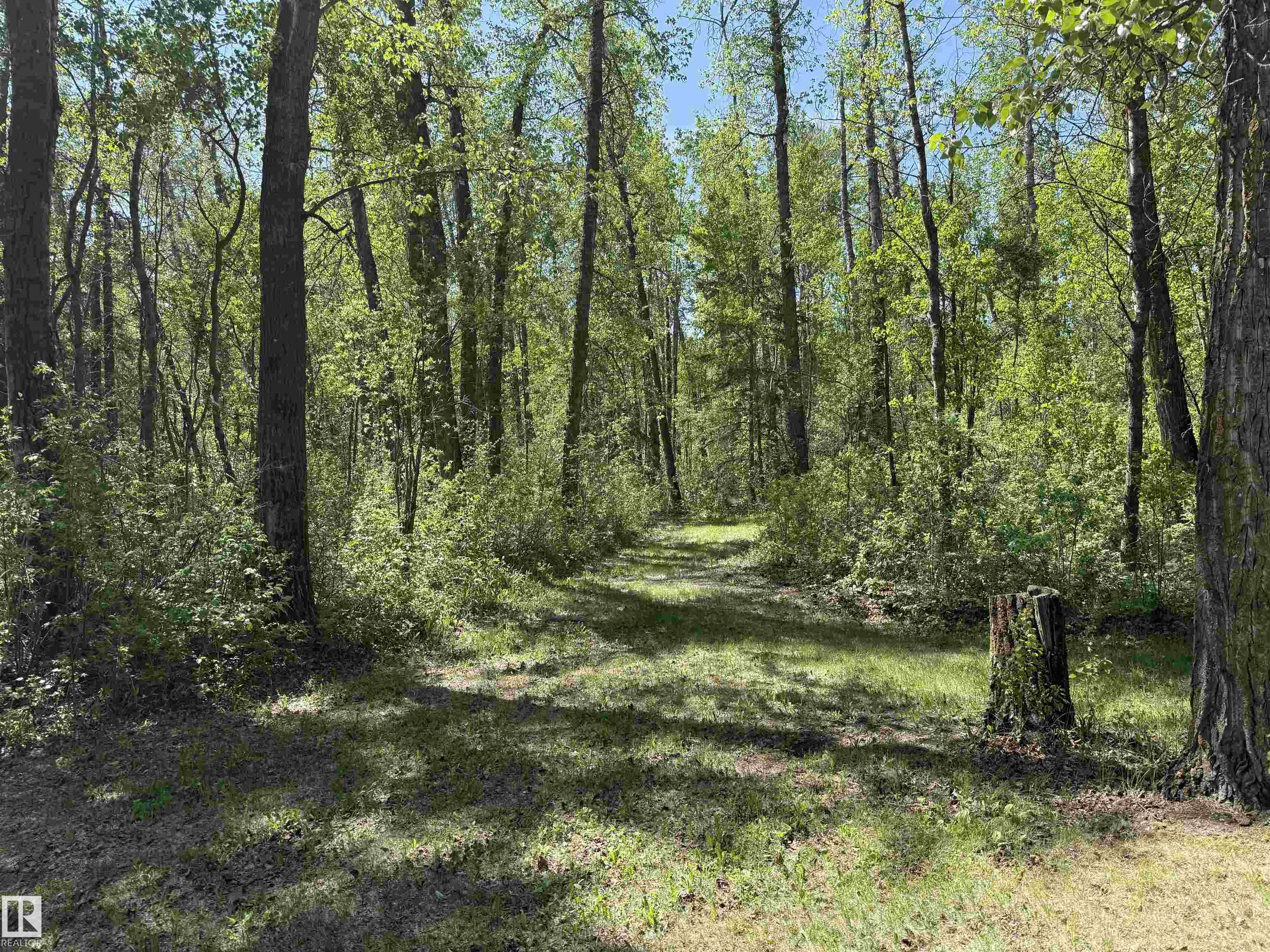 Photo 57 at 53268 Rge Road 211, None, Rural Strathcona County