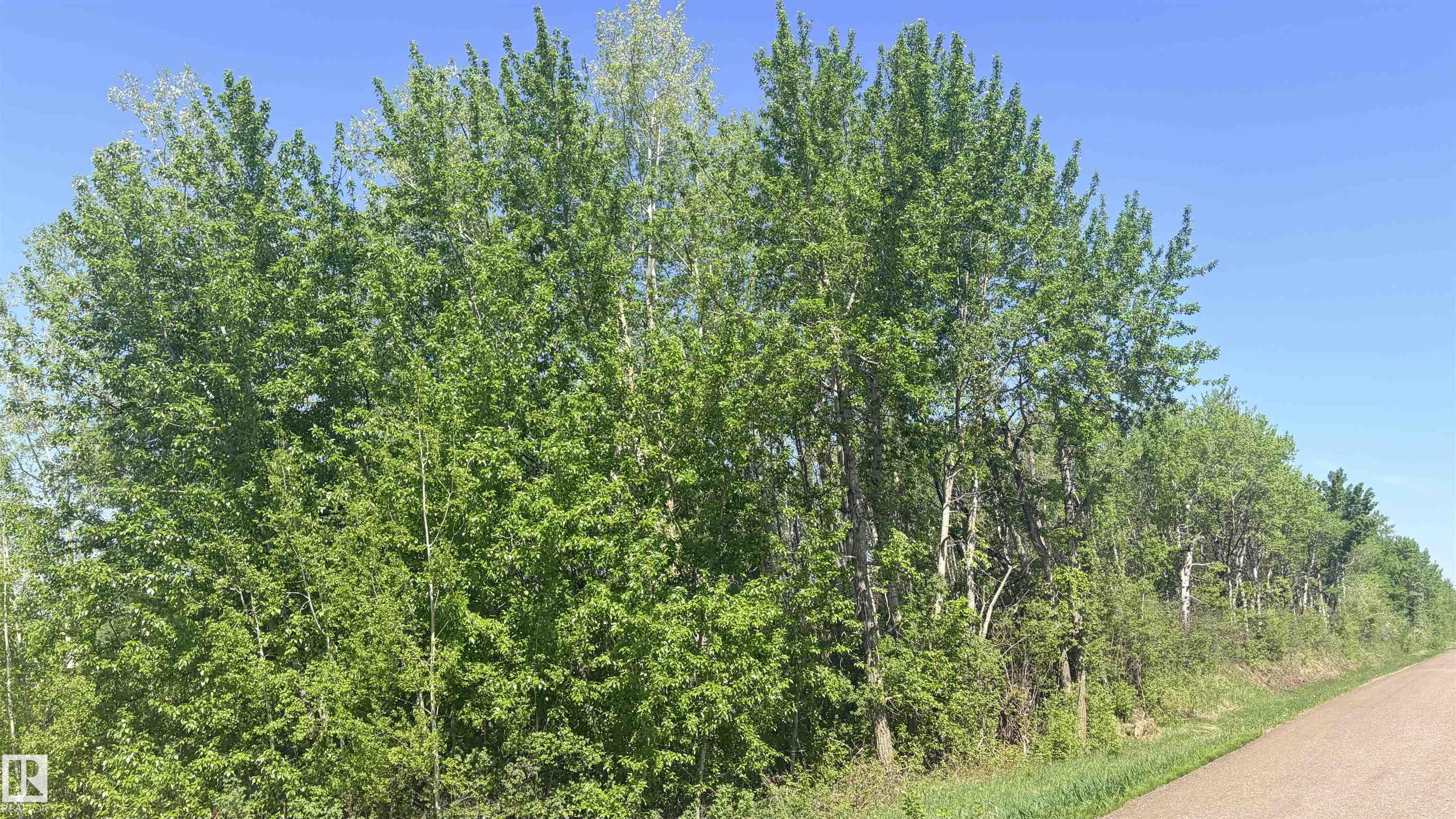Photo 16 at 458 - 20212 Twp Road 510, Lakewood Acres, Rural Strathcona County