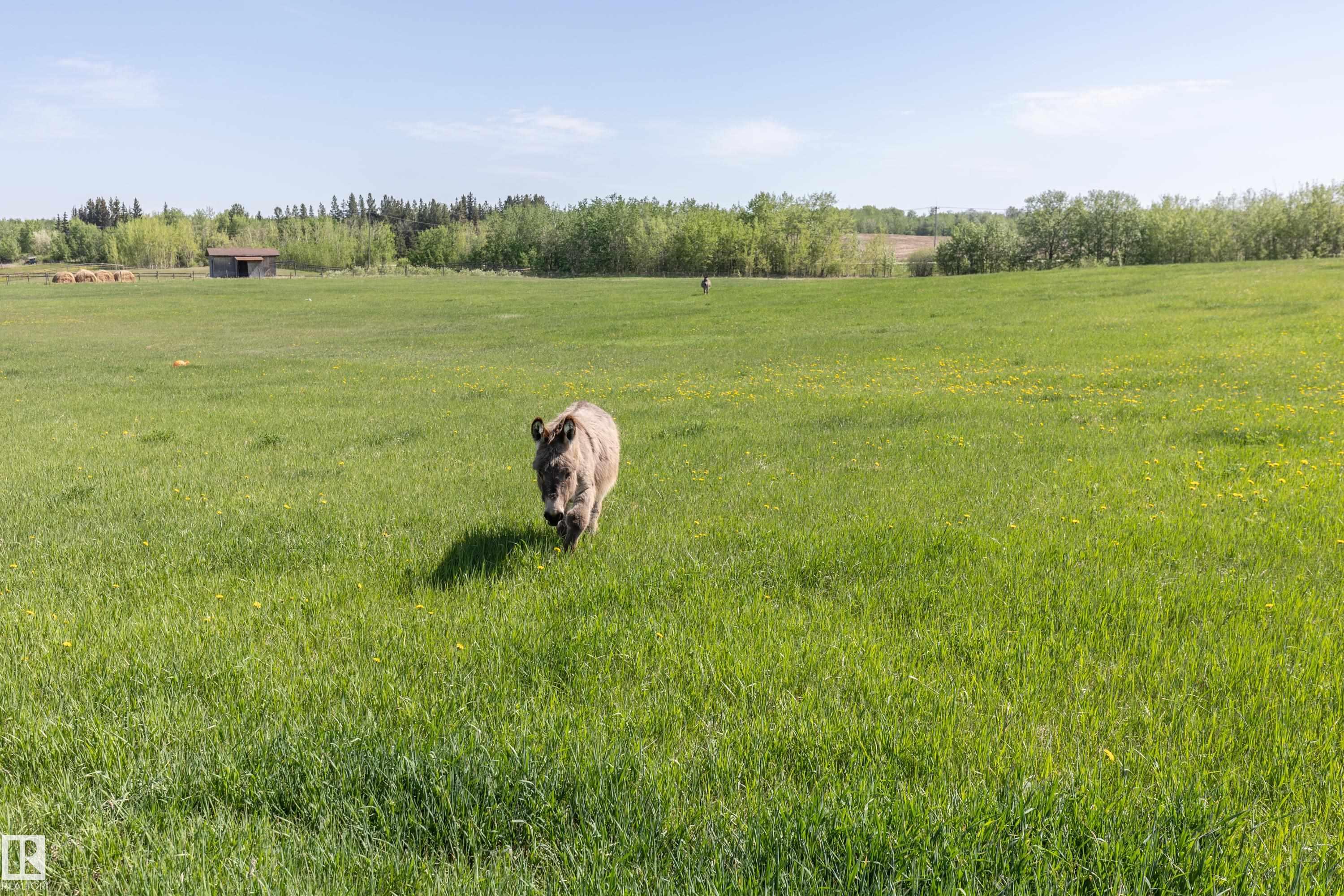 Photo 60 at 90 22111 Twp Road, Steinke Estates, Rural Leduc County