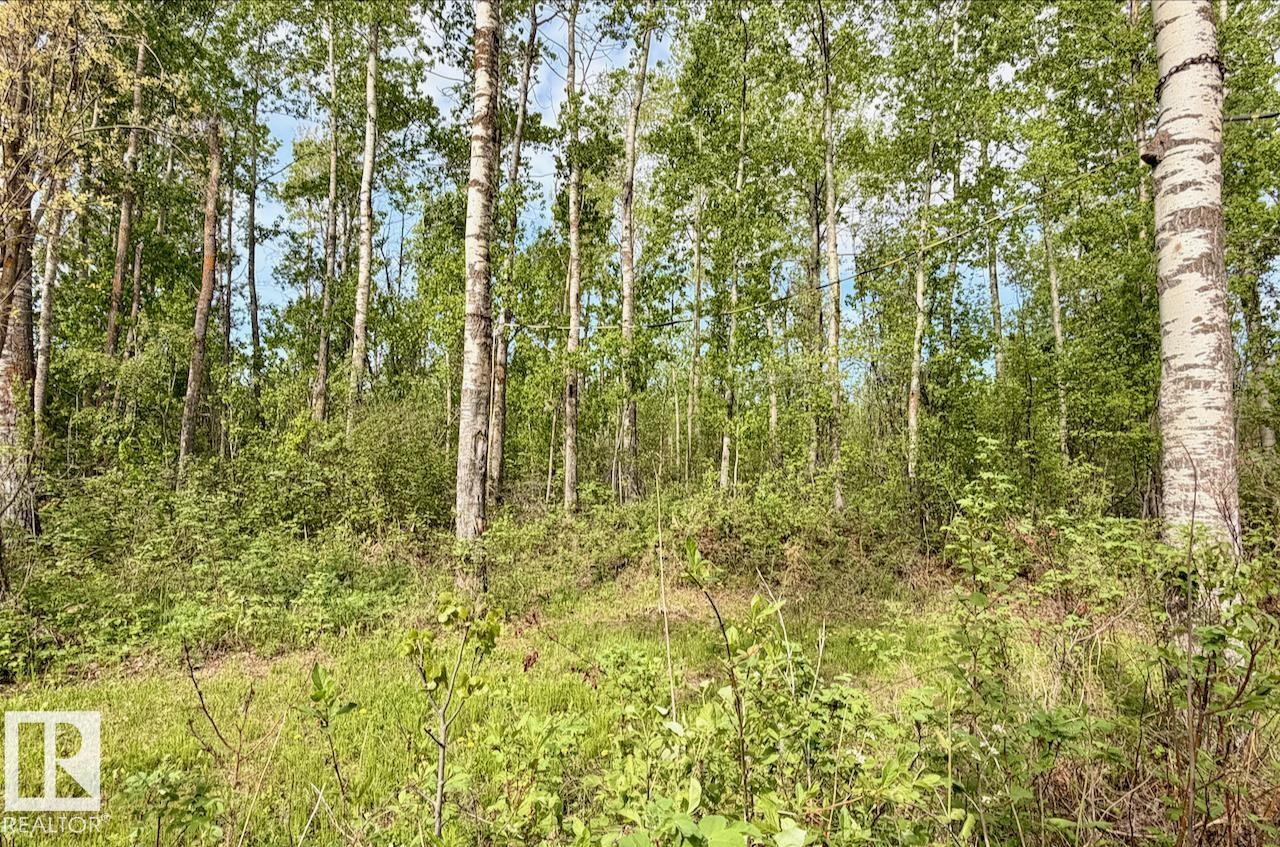 Photo 12 at 9 - 53001 Rge Road 53, Wabamun Lk., Rural Parkland County