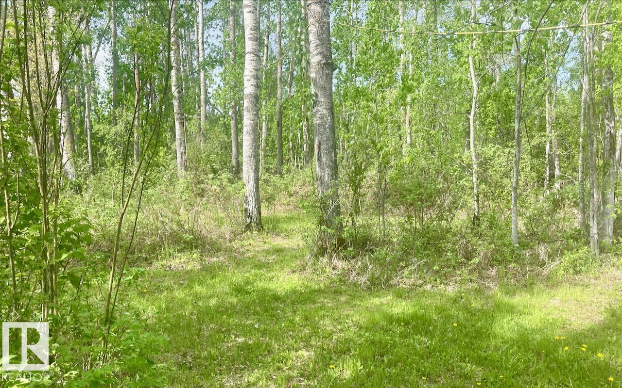 Photo 17 at 9 - 53001 Rge Road 53, Wabamun Lk., Rural Parkland County