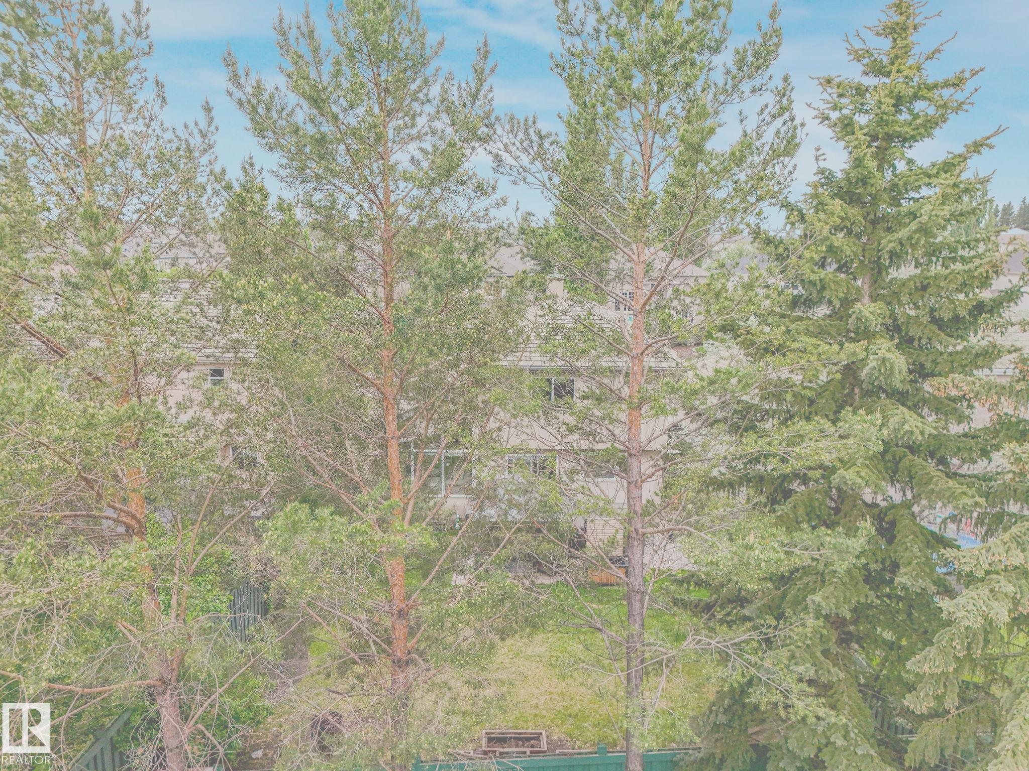 Photo 13 at 920 Haliburton Road NW, Haddow, Edmonton
