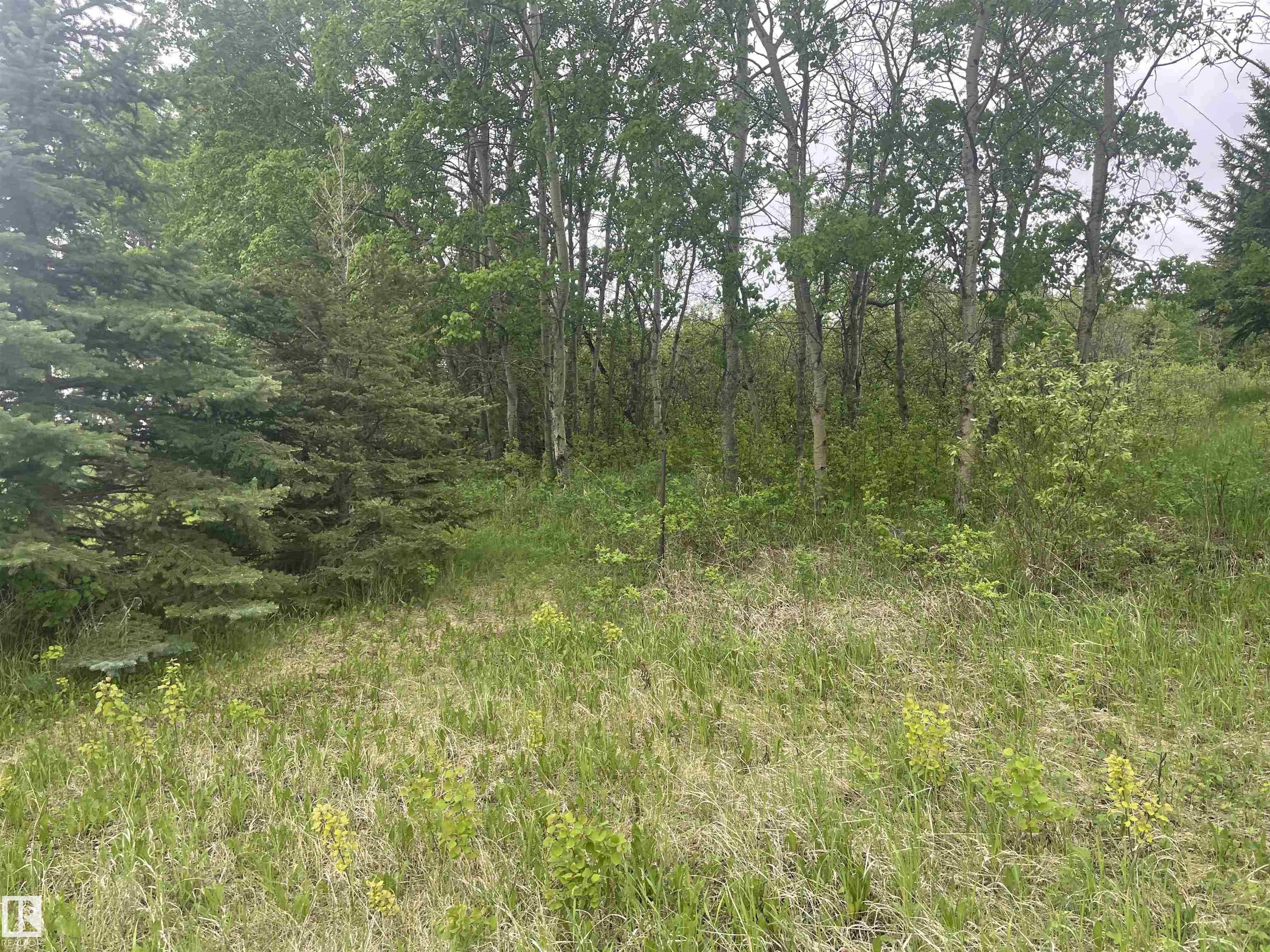 Photo 8 at 57 - 56019 Rge Road 230, Casa Vista, Rural Sturgeon County