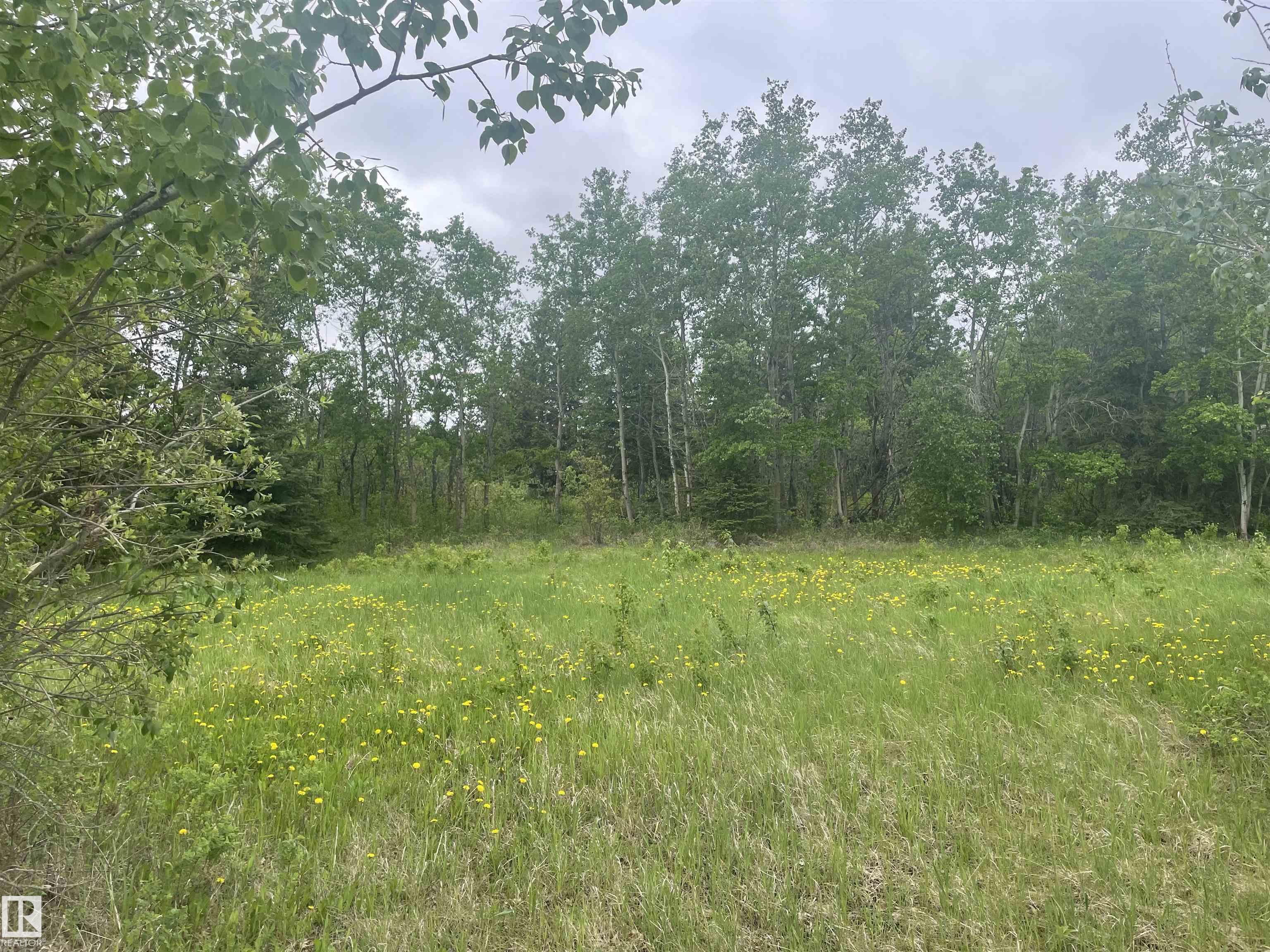 Photo 9 at 57 - 56019 Rge Road 230, Casa Vista, Rural Sturgeon County