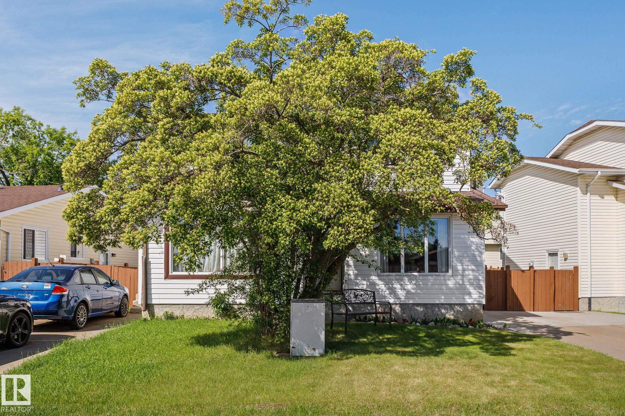 17132 103 Street NW, Baturyn, Edmonton
