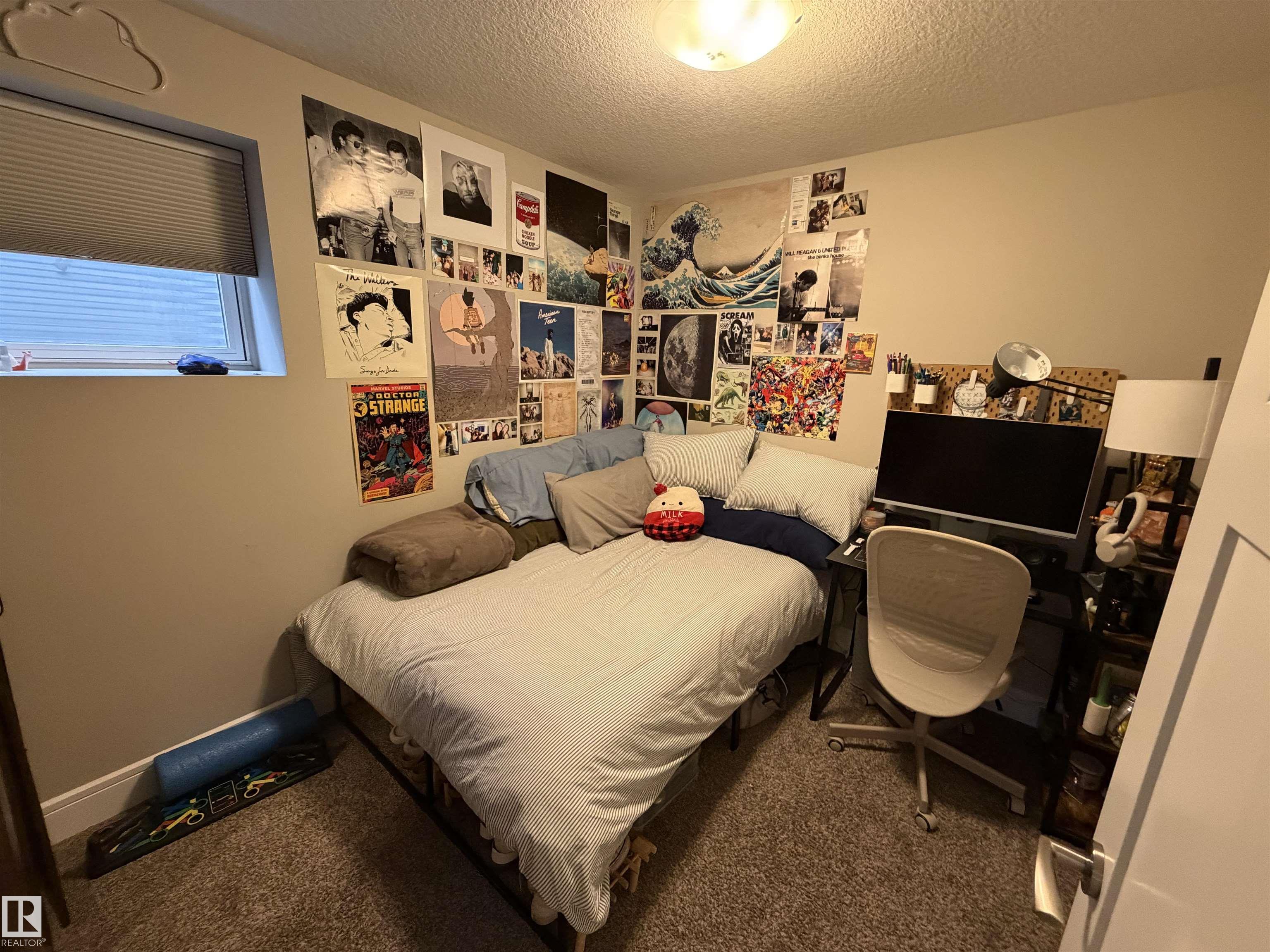 Photo 24 at 10914 71 Avenue NW, Parkallen, Edmonton