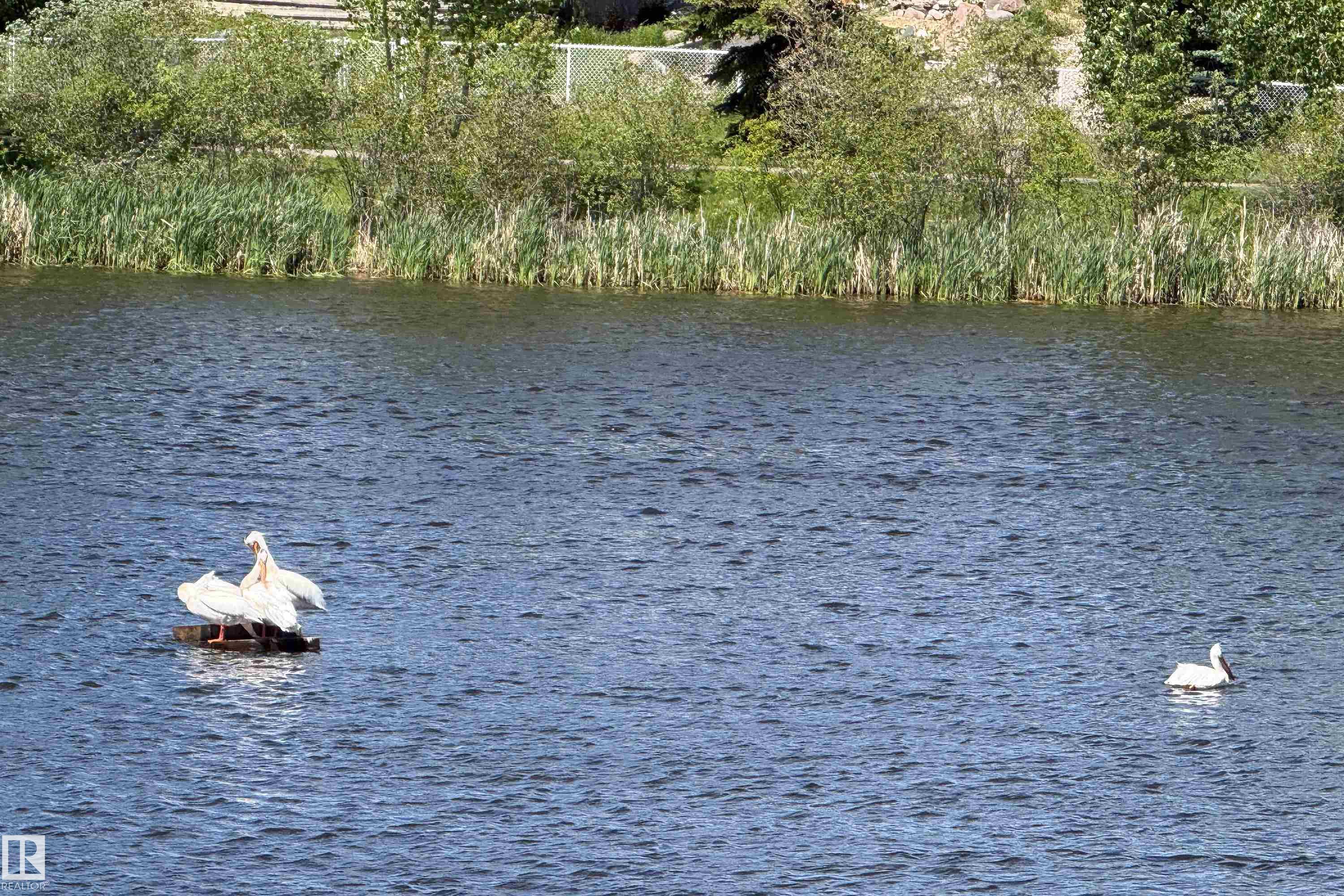 Photo 14 at 468 Klarvatten Lake Wynd NW, Klarvatten, Edmonton