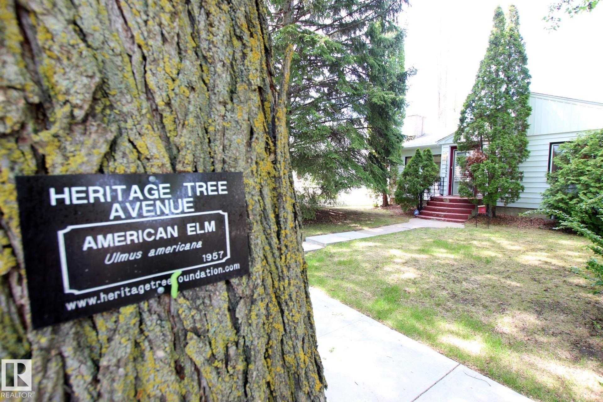 Photo 27 at 11242 56 Street NW, Highlands, Edmonton