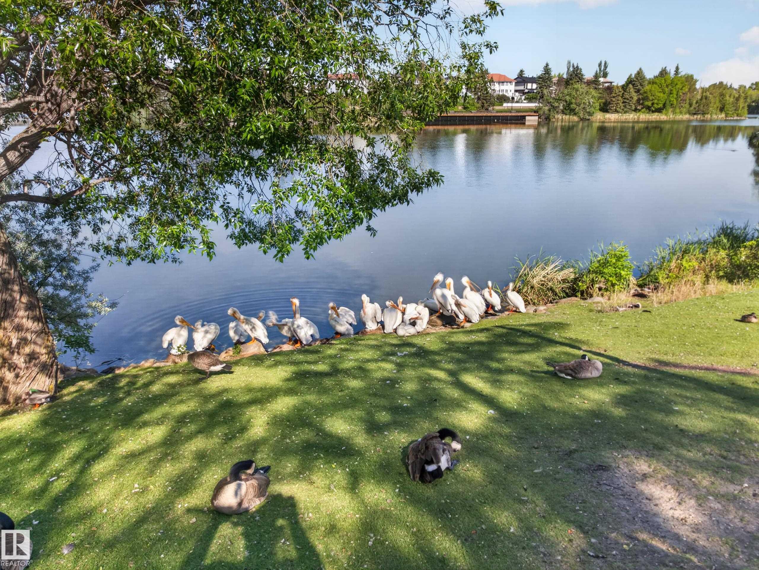 Photo 4 at 17 - 15710 Beaumaris Road NW, Beaumaris, Edmonton