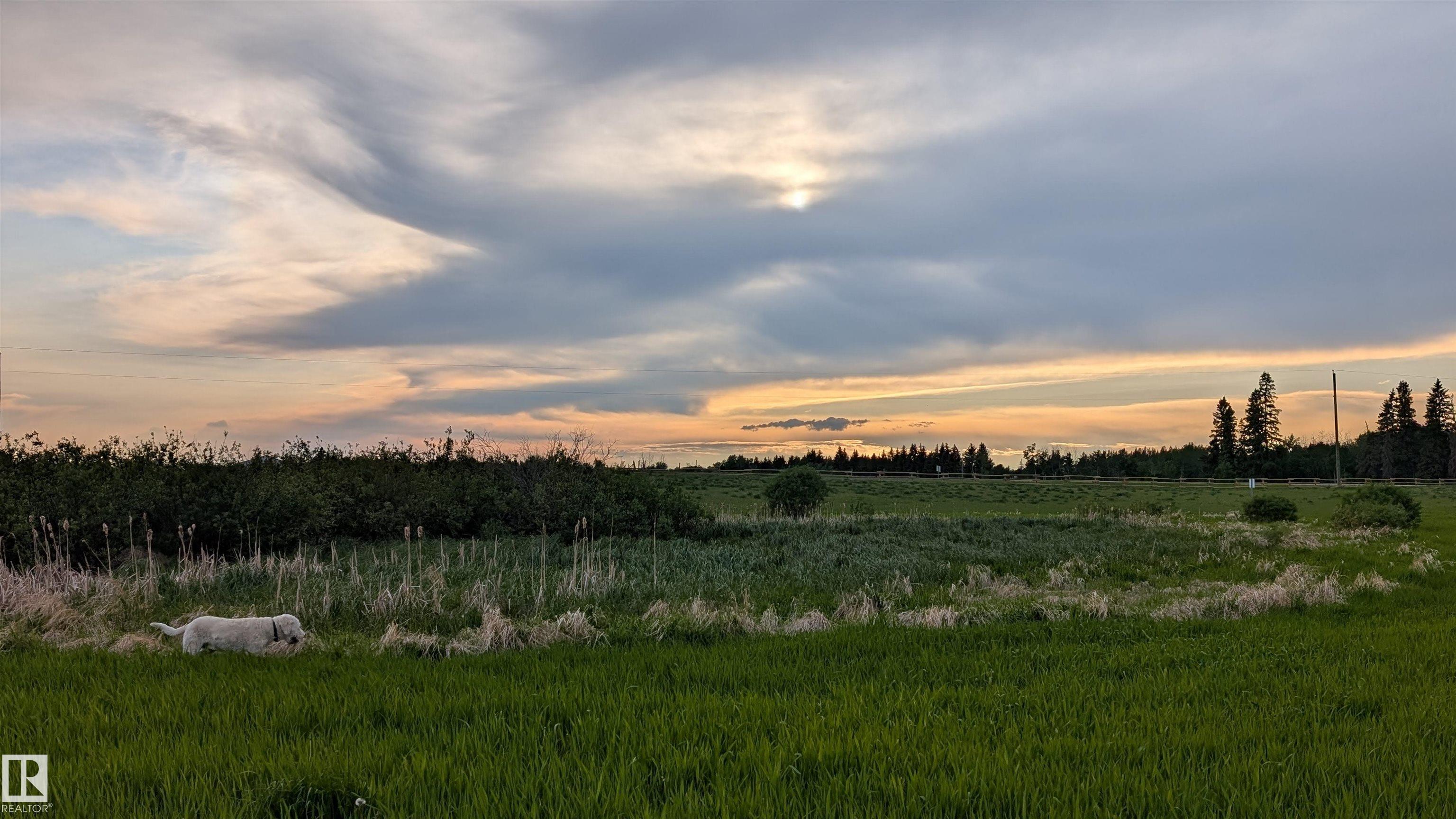 21173 Twp Rd 534, None, Rural Strathcona County