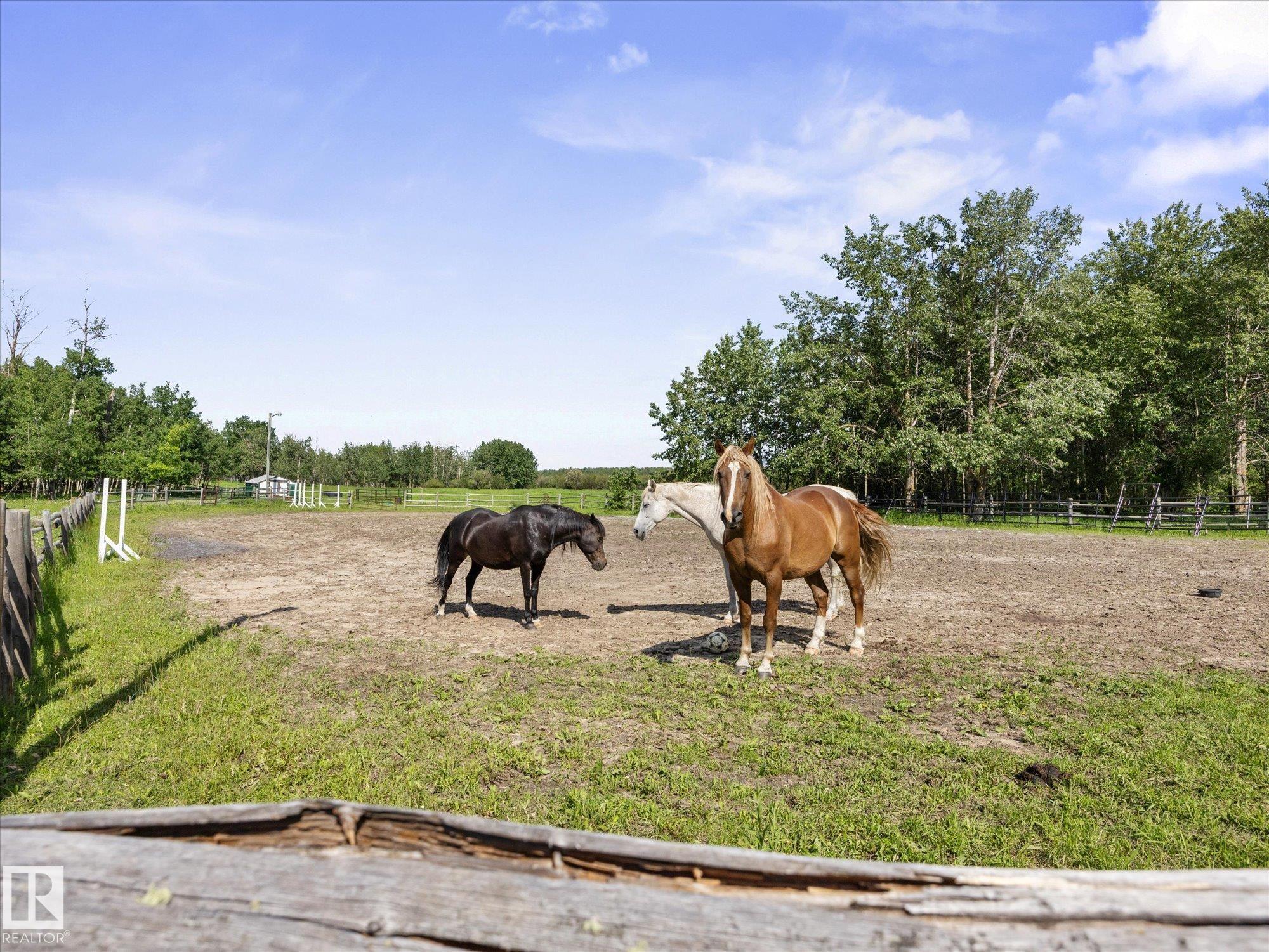 Photo 59 at 51559 Rge Road 204, None, Rural Strathcona County