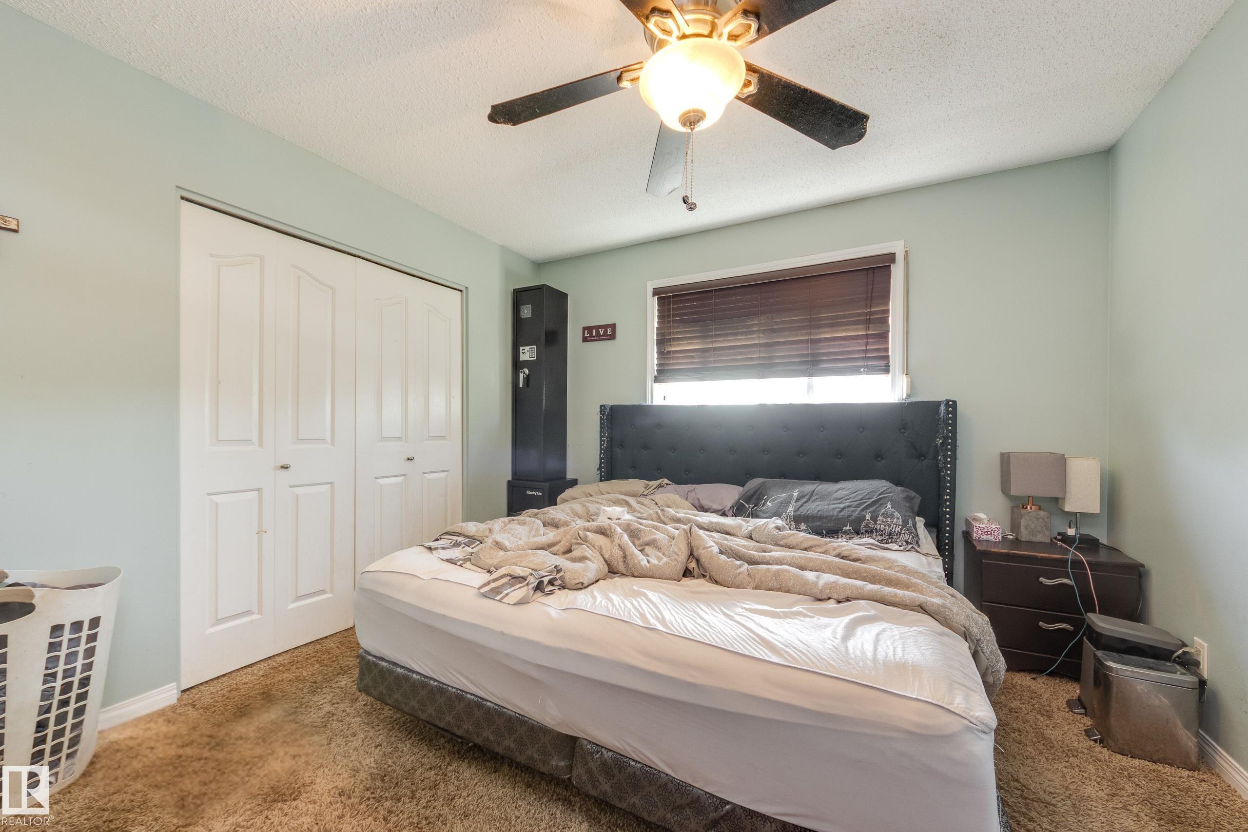 Photo 17 at 17328 106 Street NW, Baturyn, Edmonton