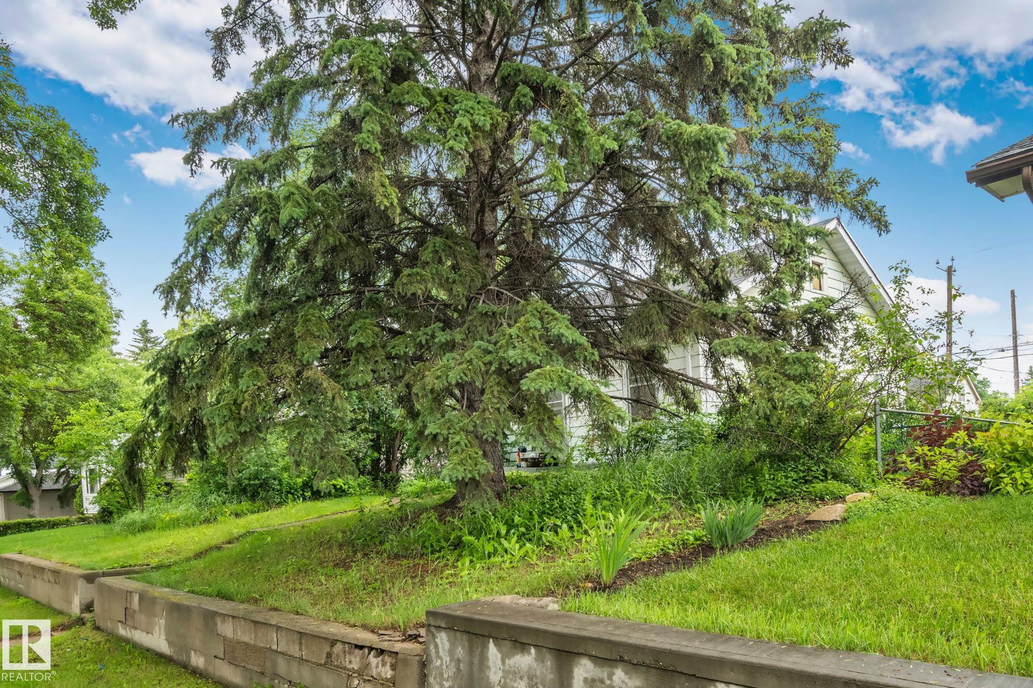 11209 38 Street NW, Beverly Heights, Edmonton