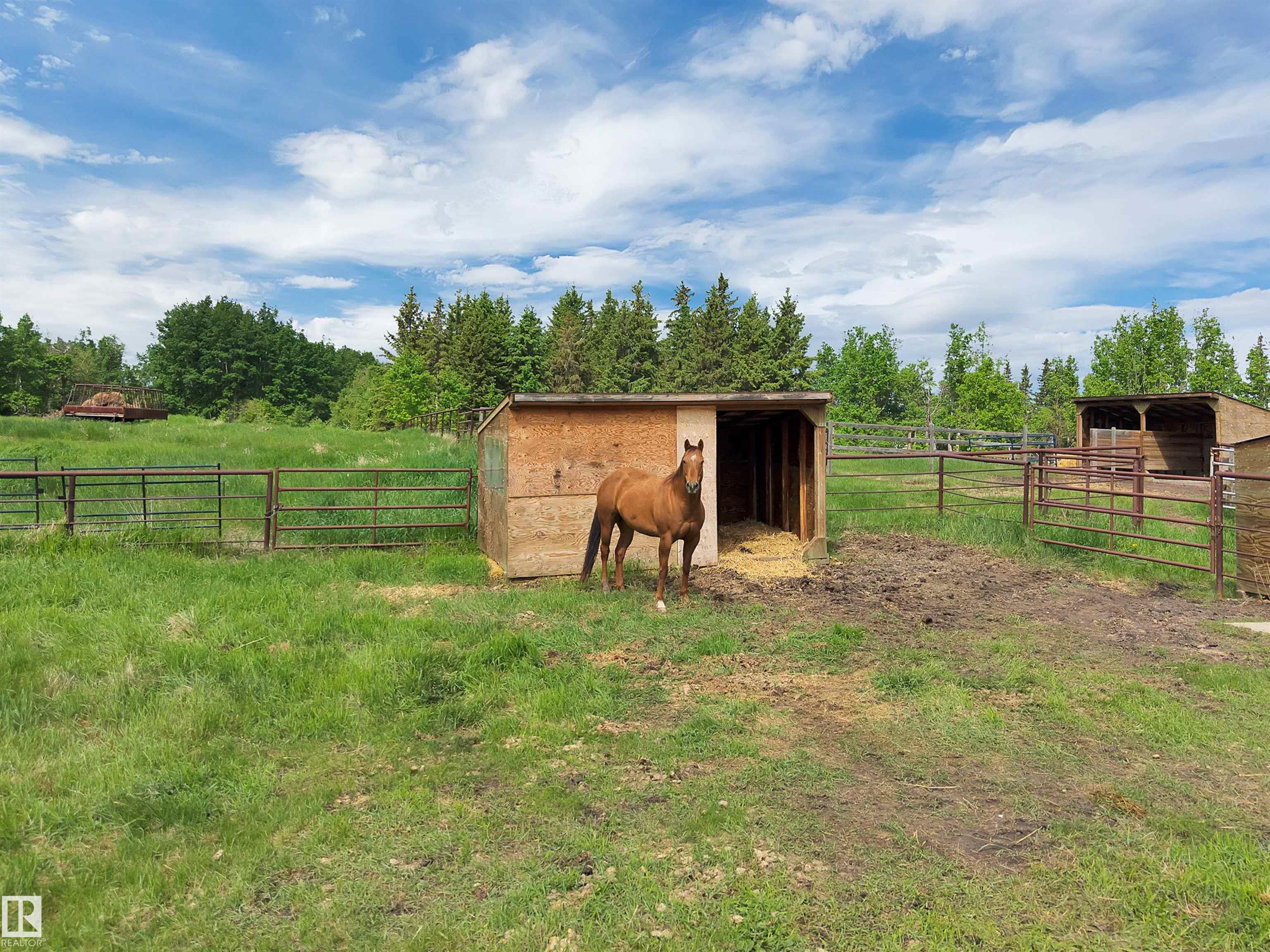 Photo 50 at 22363 Wye Road, None, Rural Strathcona County