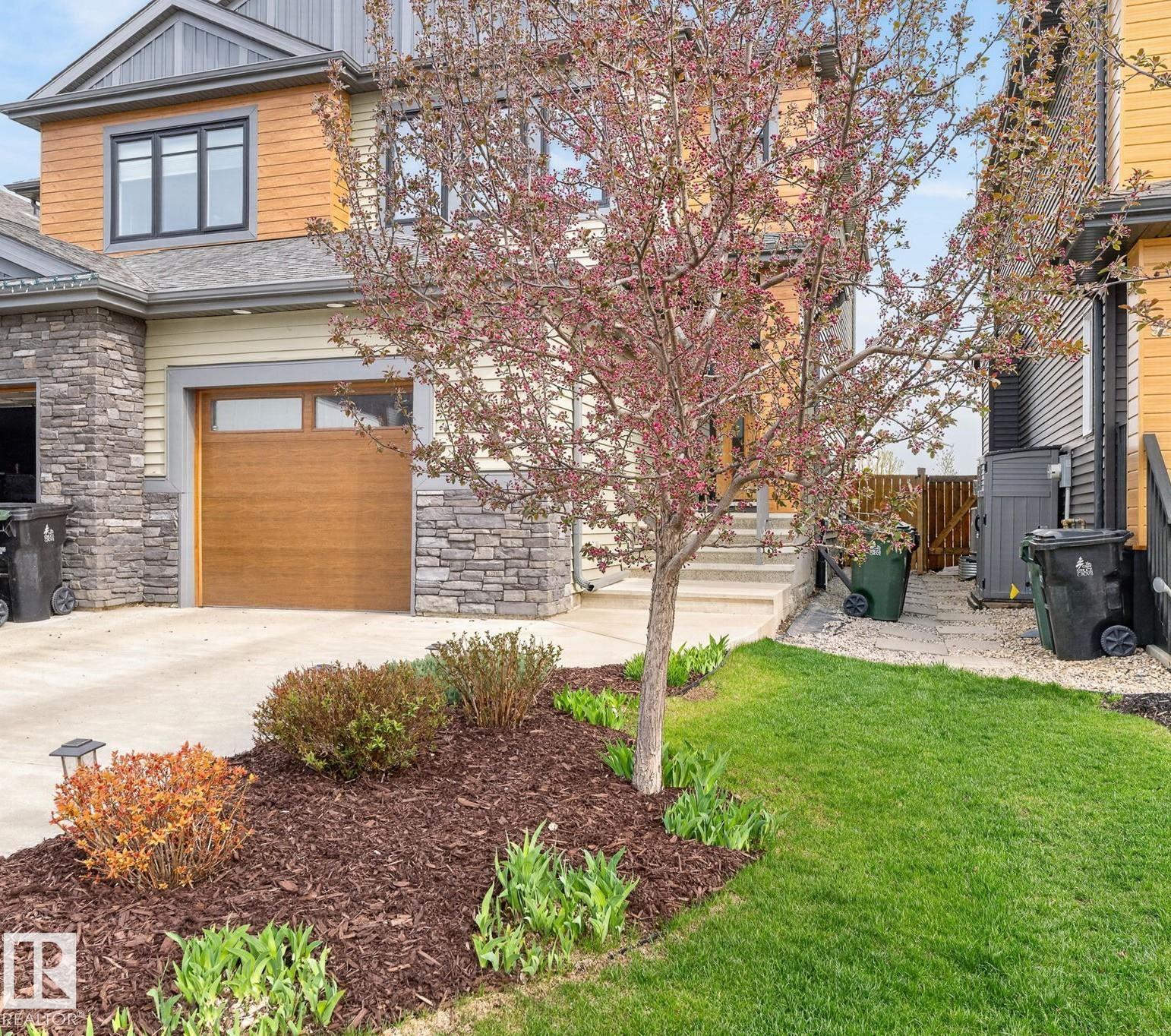 94 Tribute Common, Tonewood, Spruce Grove