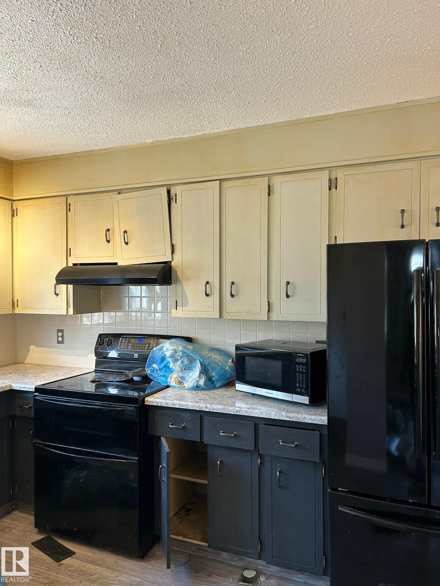 Photo 11 at 16411 106 Street NW, Lorelei, Edmonton