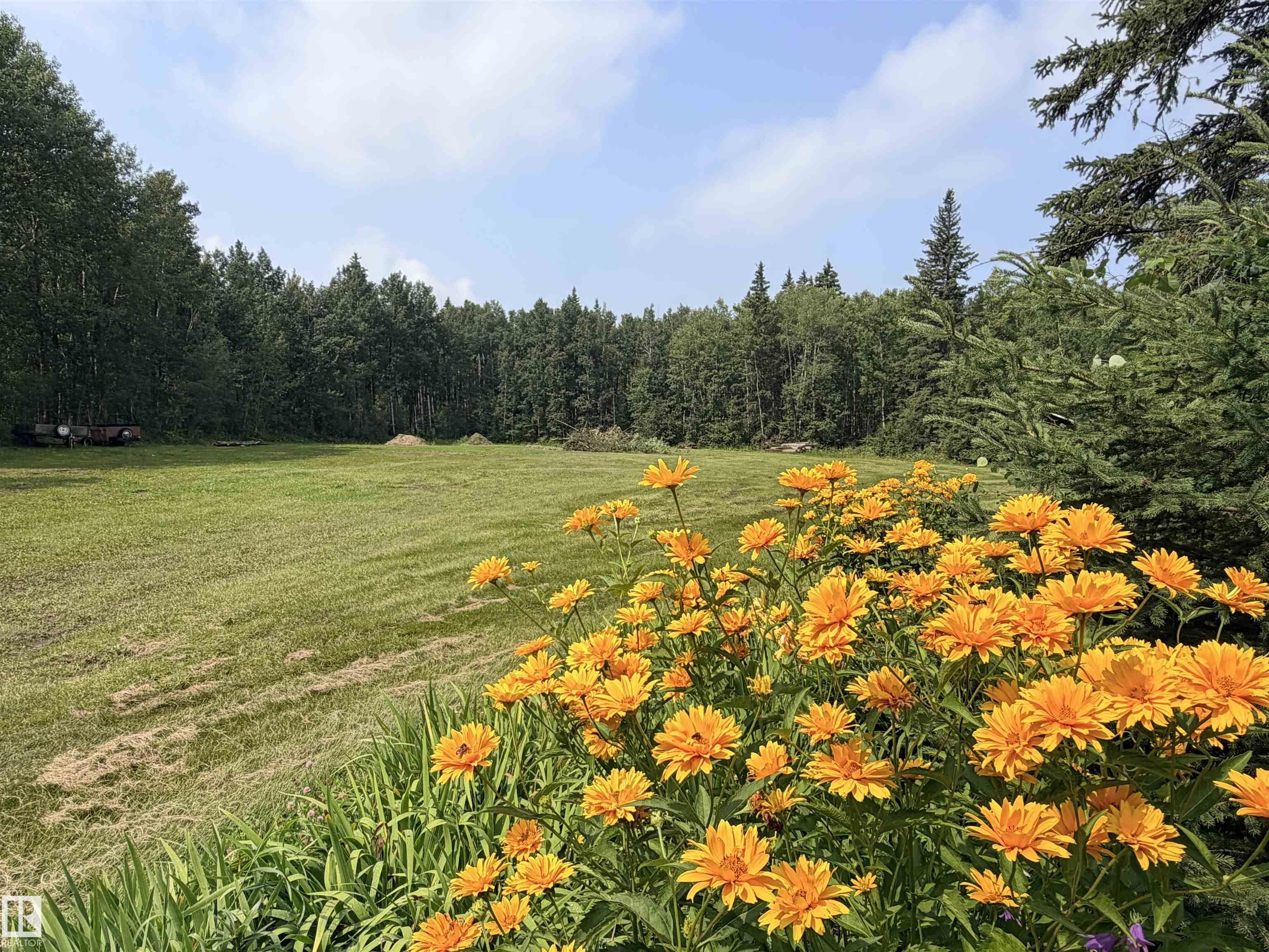 3306 RAIL GRADE RD
