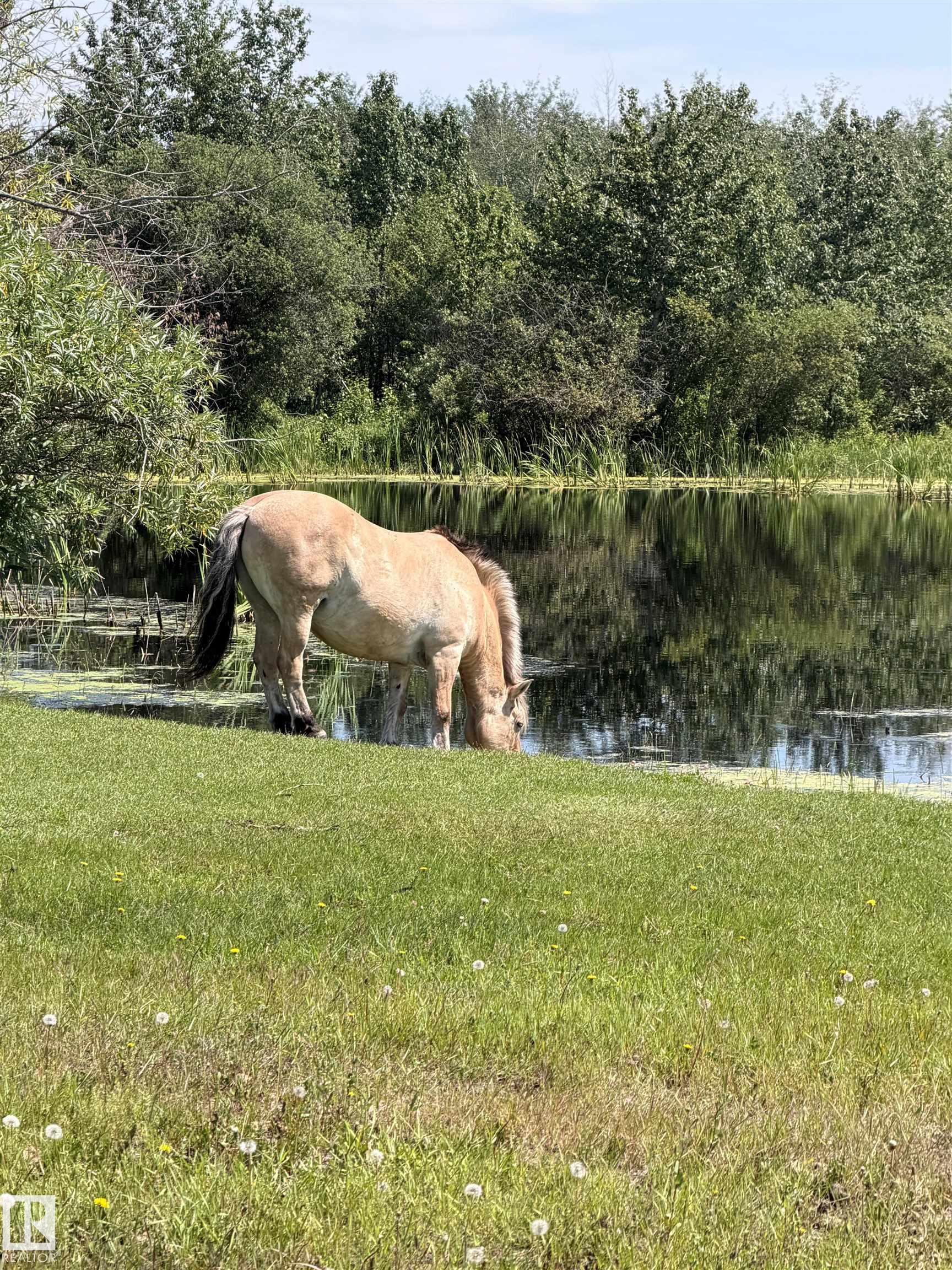 Photo 15 at 56527 Rge Rd 231, None, Rural Sturgeon County