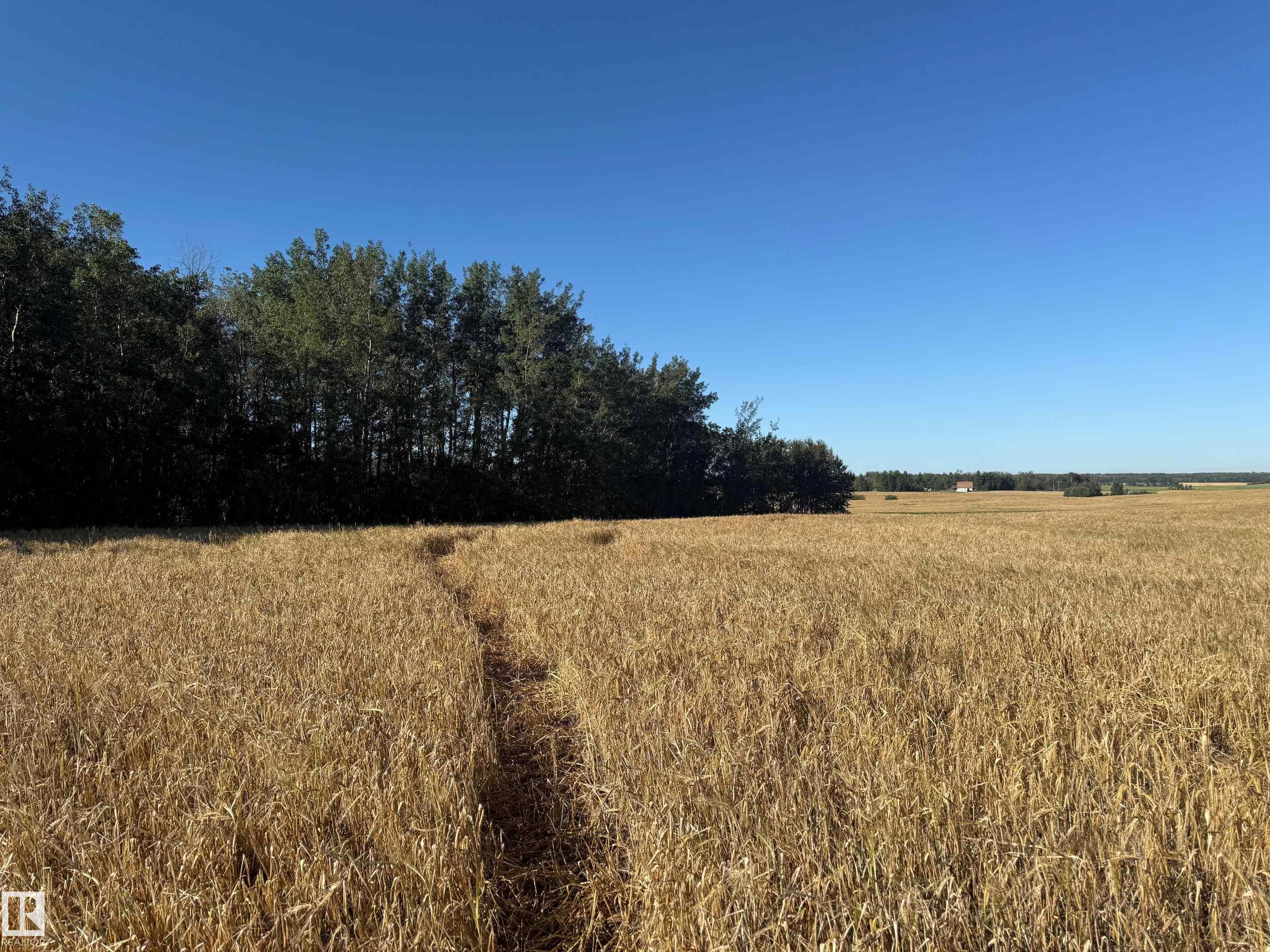 RR 205A & Twp Rd 542, None, Rural Strathcona County