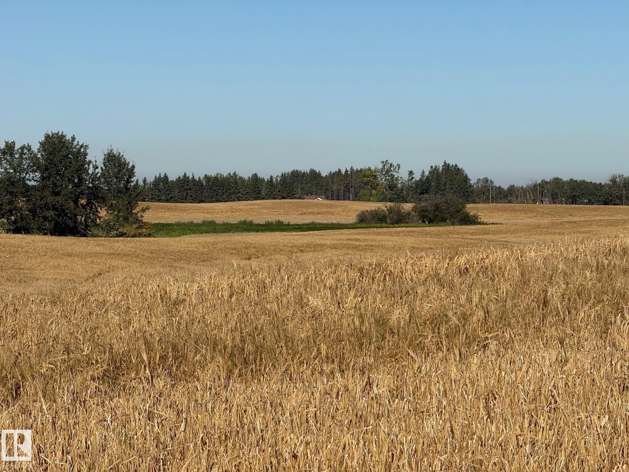 RR 205A & Twp Rd 542, None, Rural Strathcona County