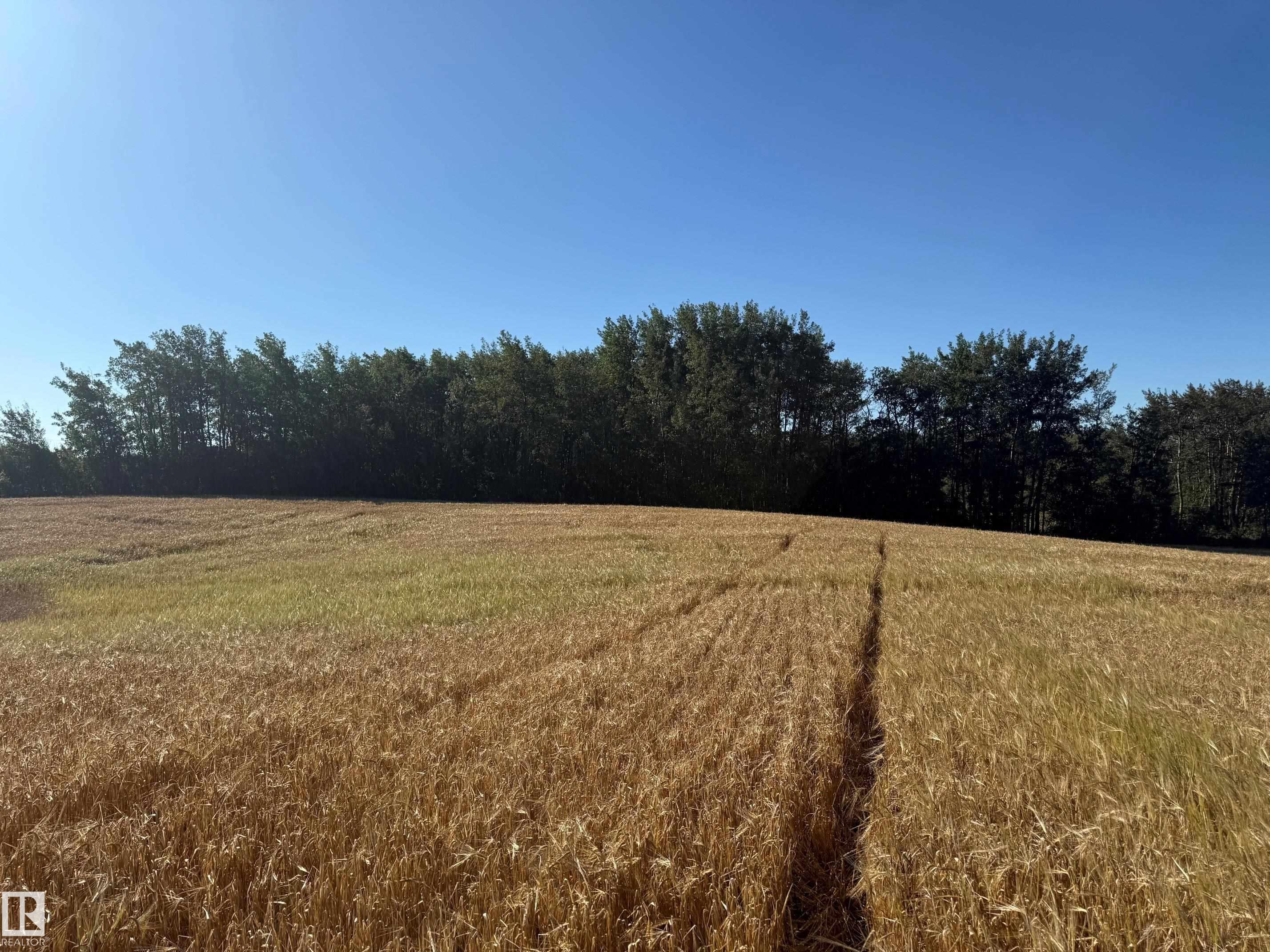 Photo 7 at RR 205A & Twp Rd 542, None, Rural Strathcona County