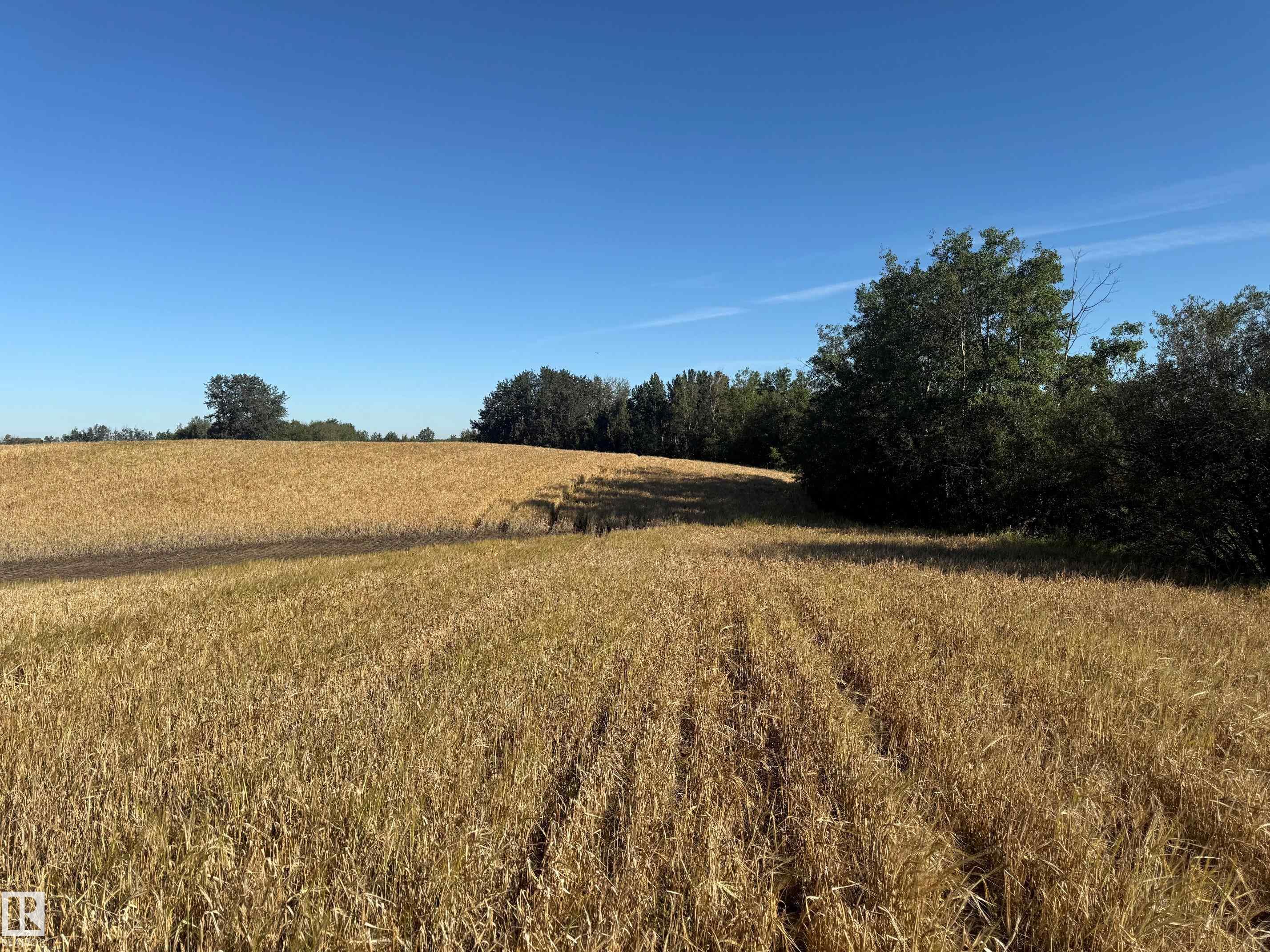 Photo 10 at RR 205A & Twp Rd 542, None, Rural Strathcona County