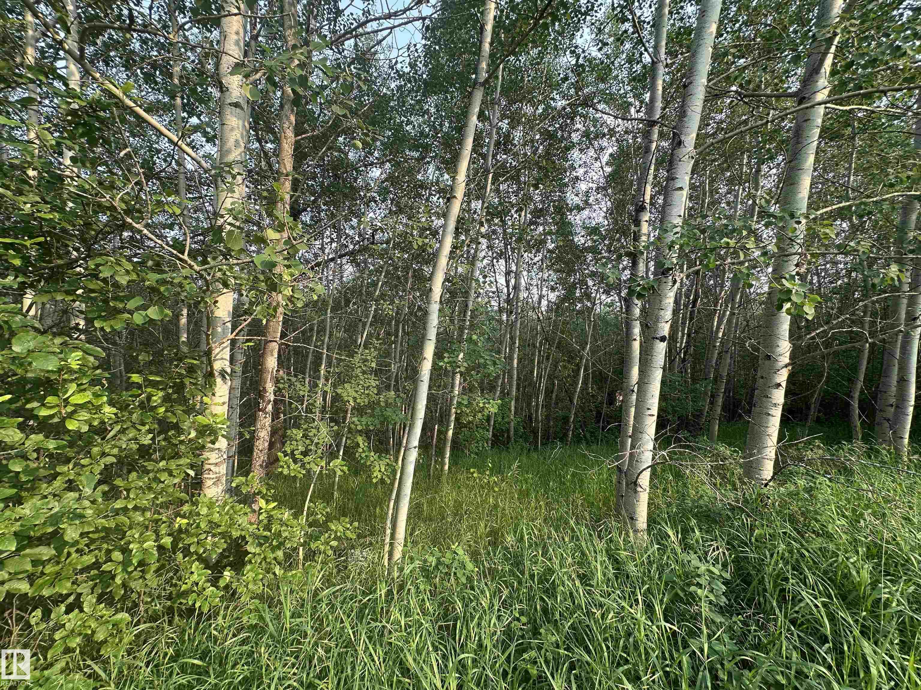 Photo 25 at 20321 Victoria Trail, None, Rural Sturgeon County