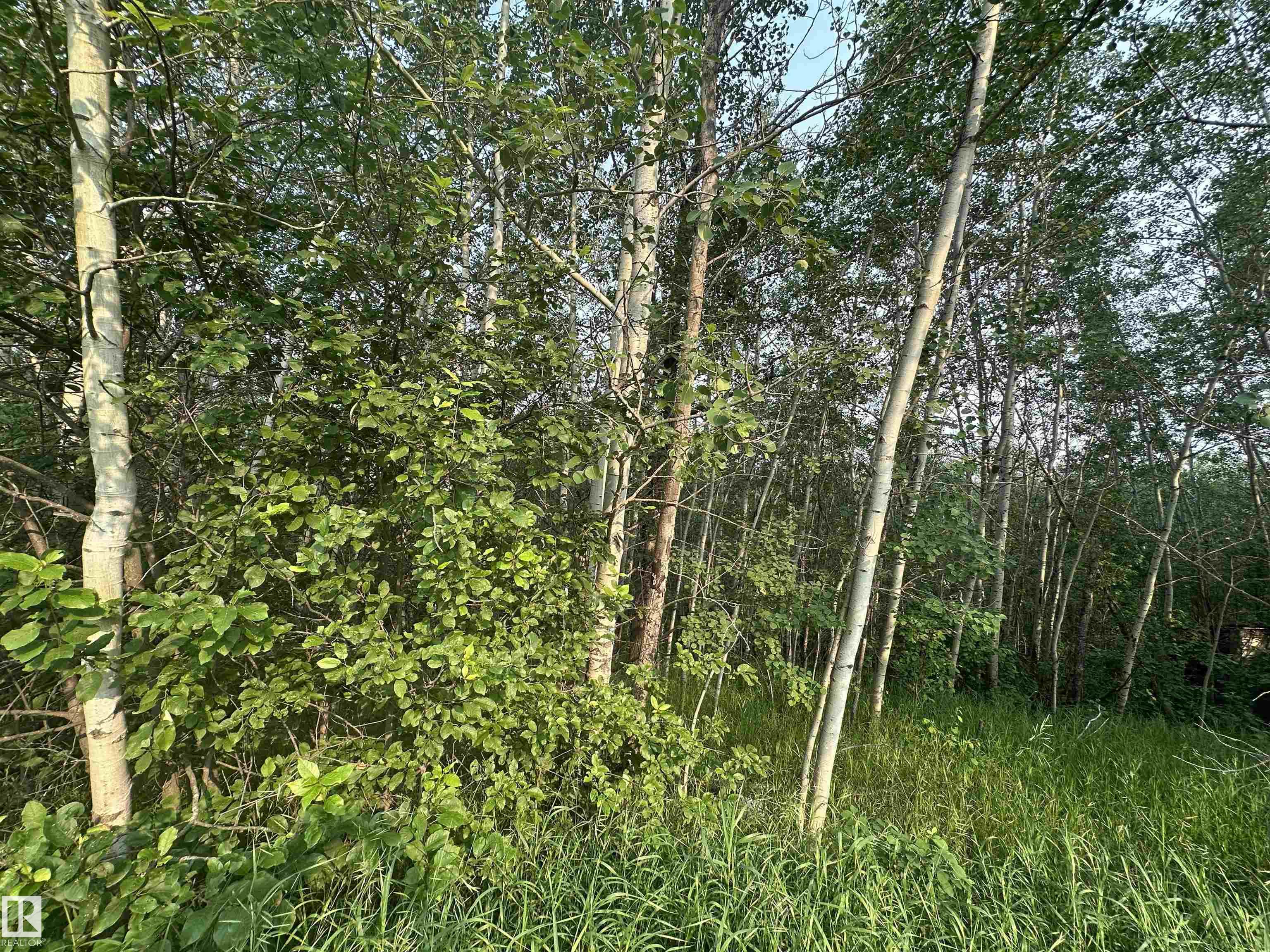 Photo 31 at 20321 Victoria Trail, None, Rural Sturgeon County