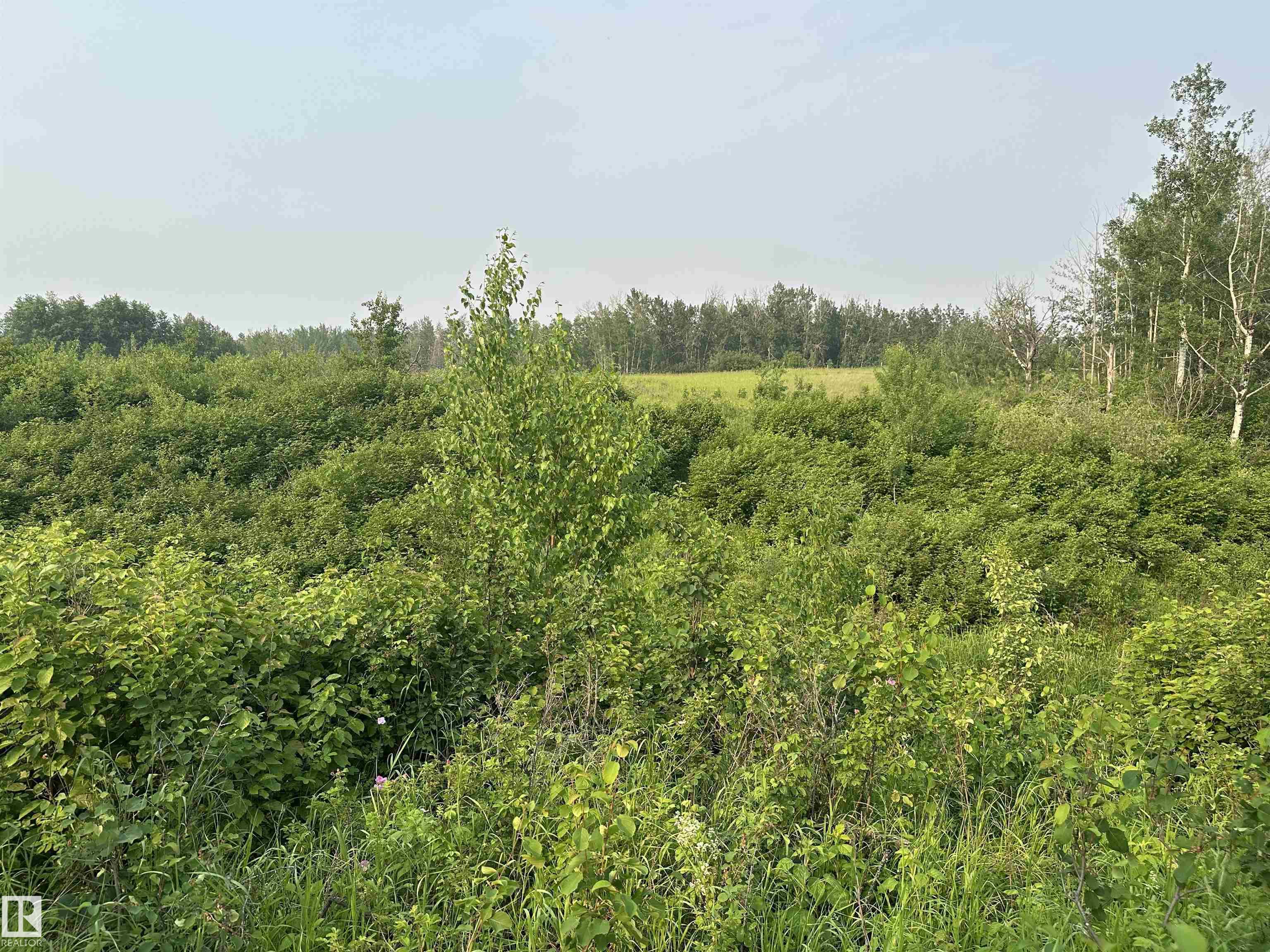 Photo 35 at 20321 Victoria Trail, None, Rural Sturgeon County
