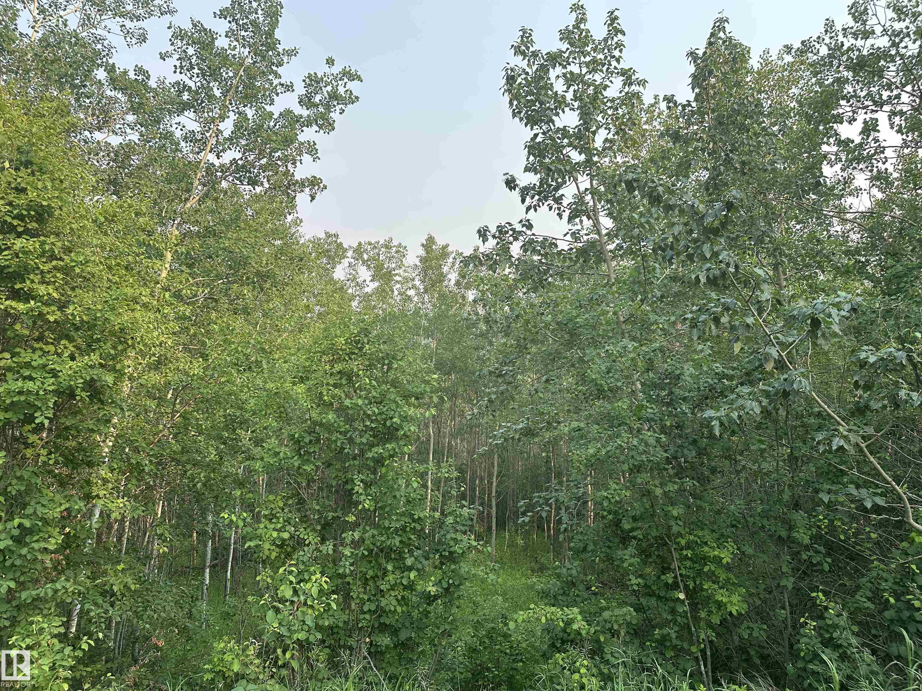 Photo 37 at 20321 Victoria Trail, None, Rural Sturgeon County