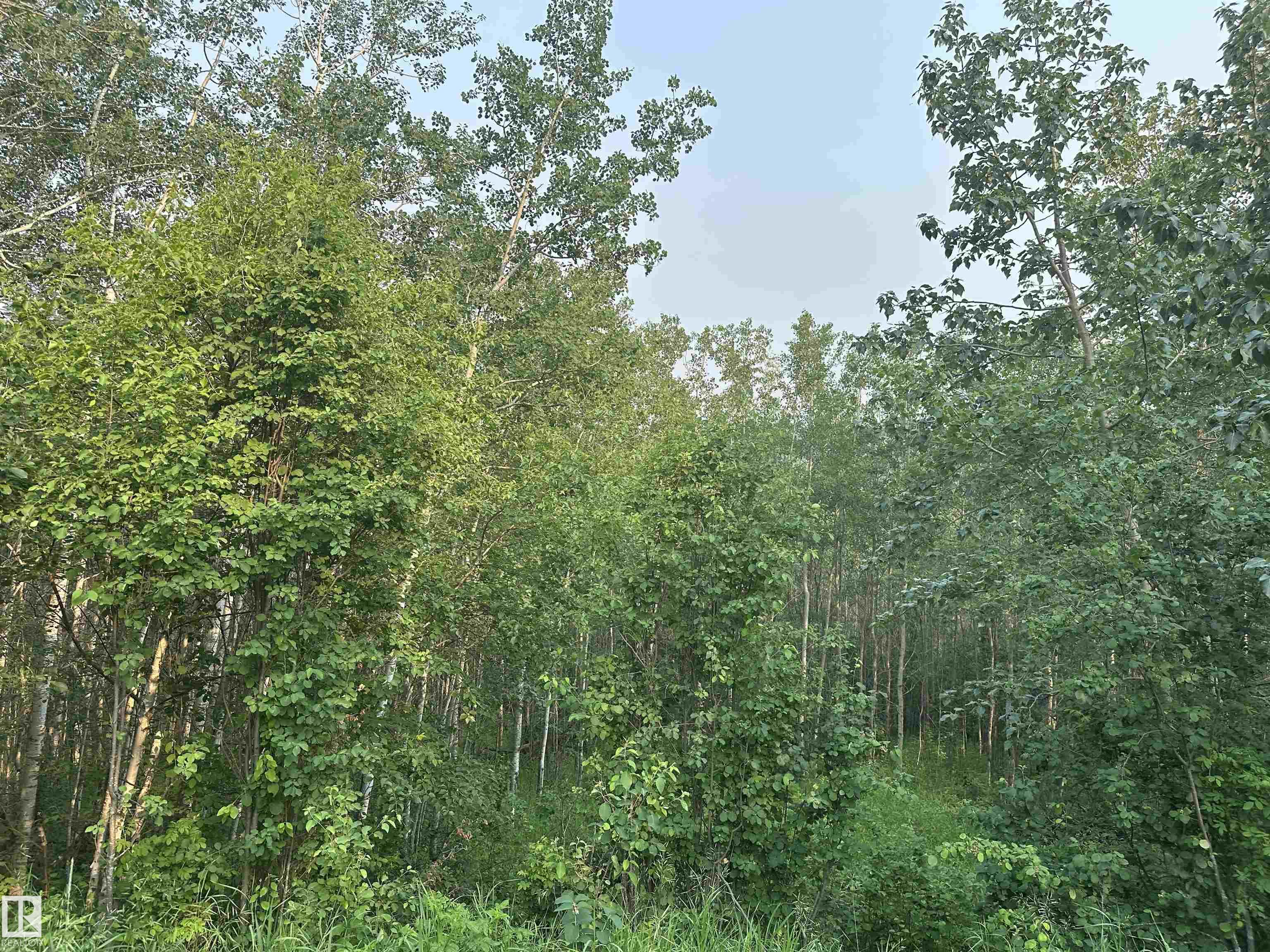 Photo 38 at 20321 Victoria Trail, None, Rural Sturgeon County