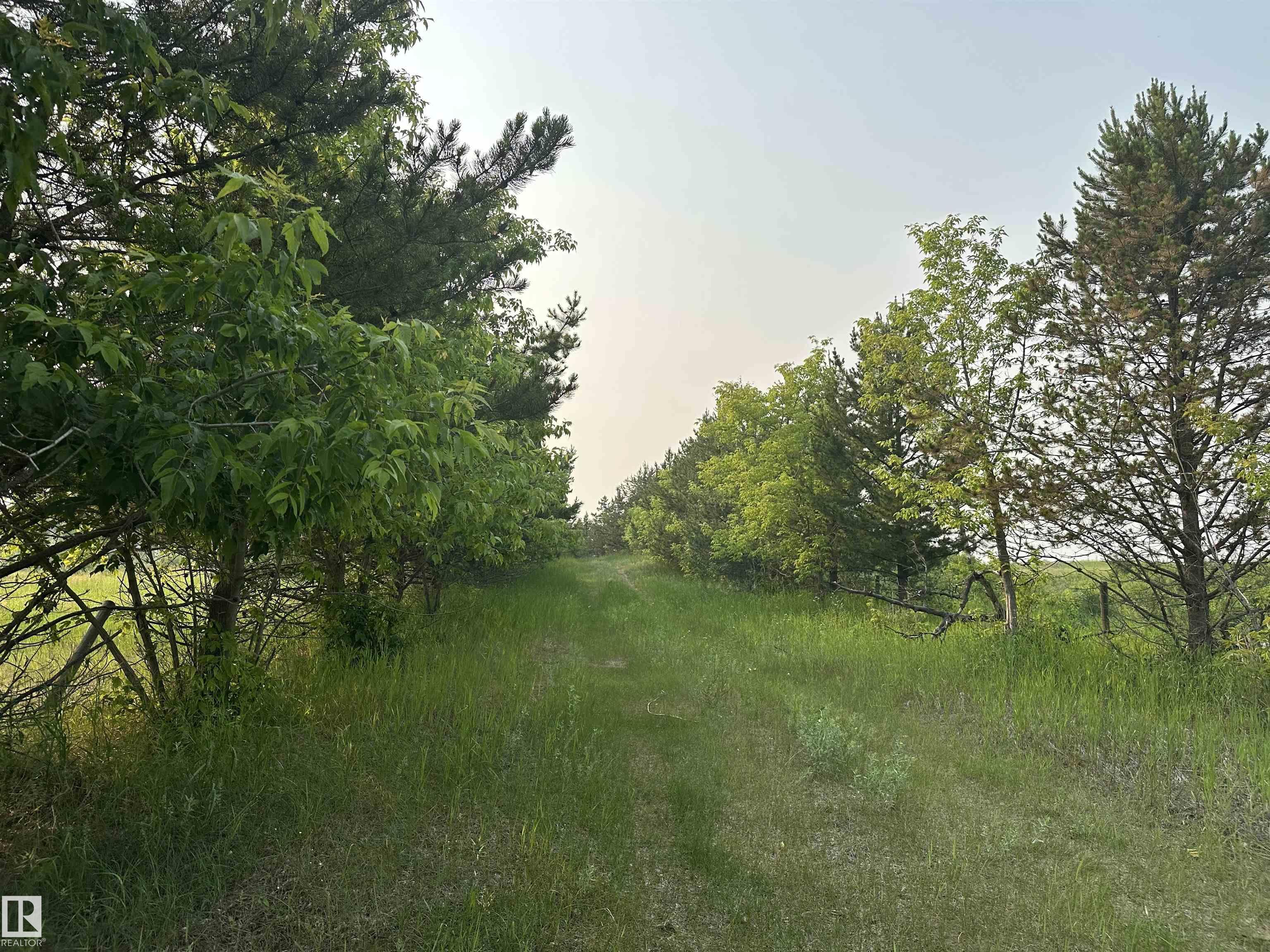 Photo 39 at 20321 Victoria Trail, None, Rural Sturgeon County