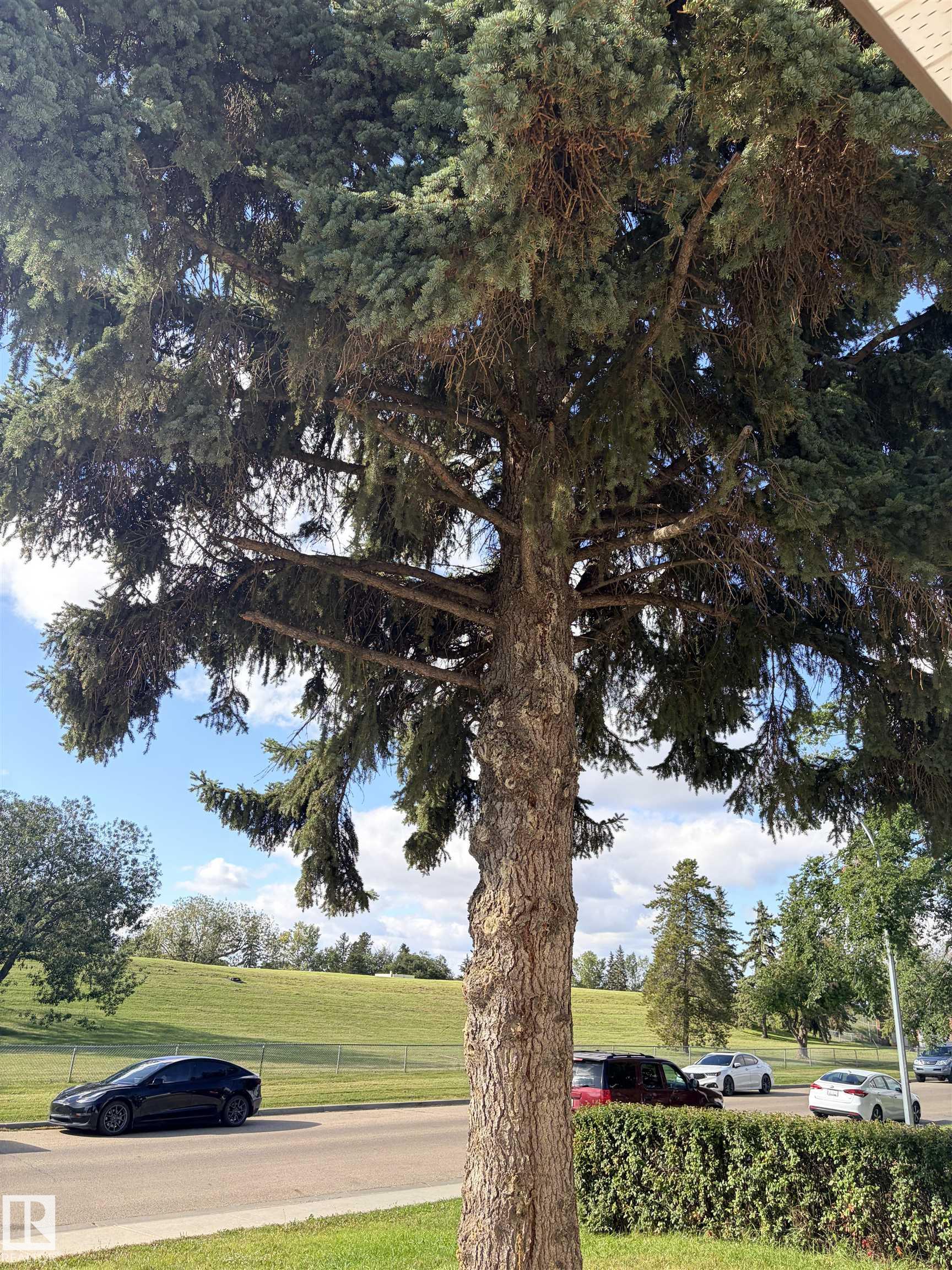 Photo 6 at 13219 107 Street NW, Rosslyn, Edmonton