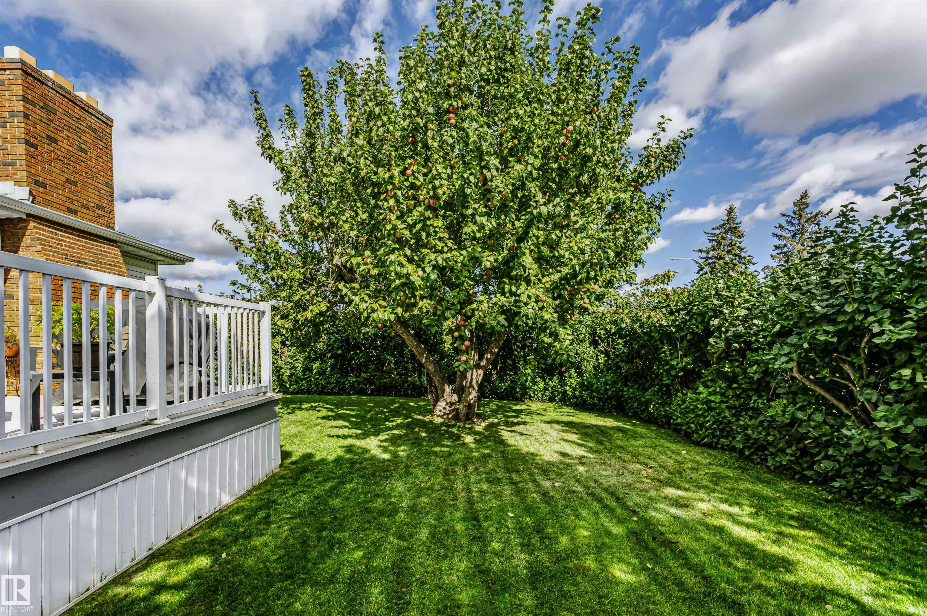 Photo 51 at 13503 135 Avenue NW, Wellington, Edmonton